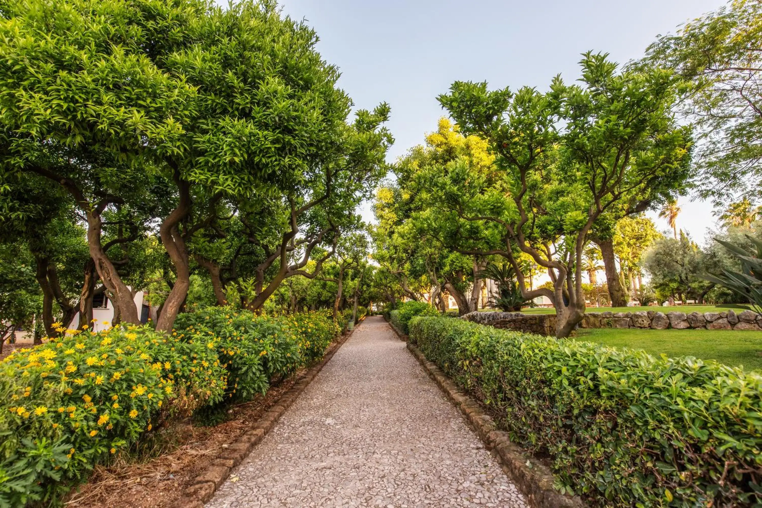 Landmark view, Garden in Villa Irlanda Grand Hotel