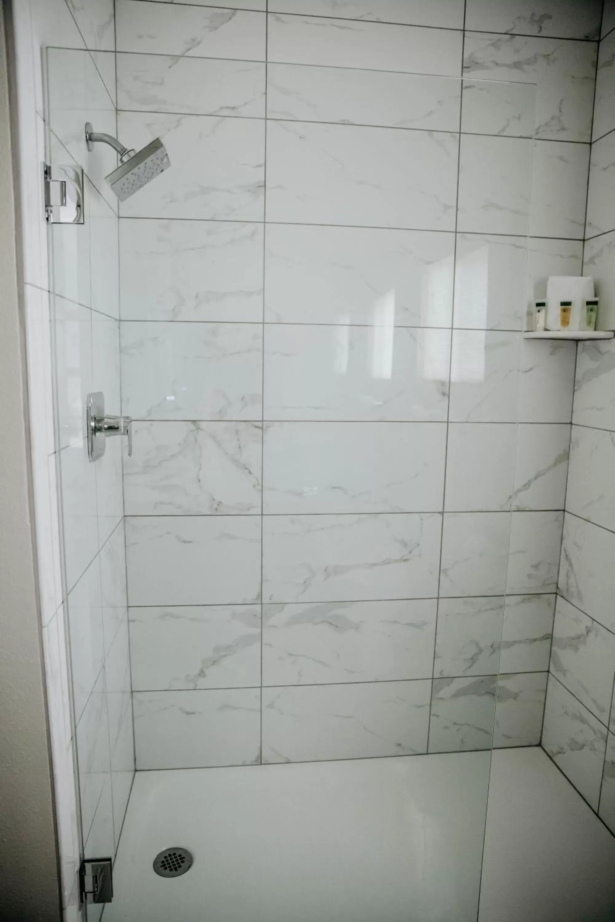 Shower, Bathroom in Geyserville Inn