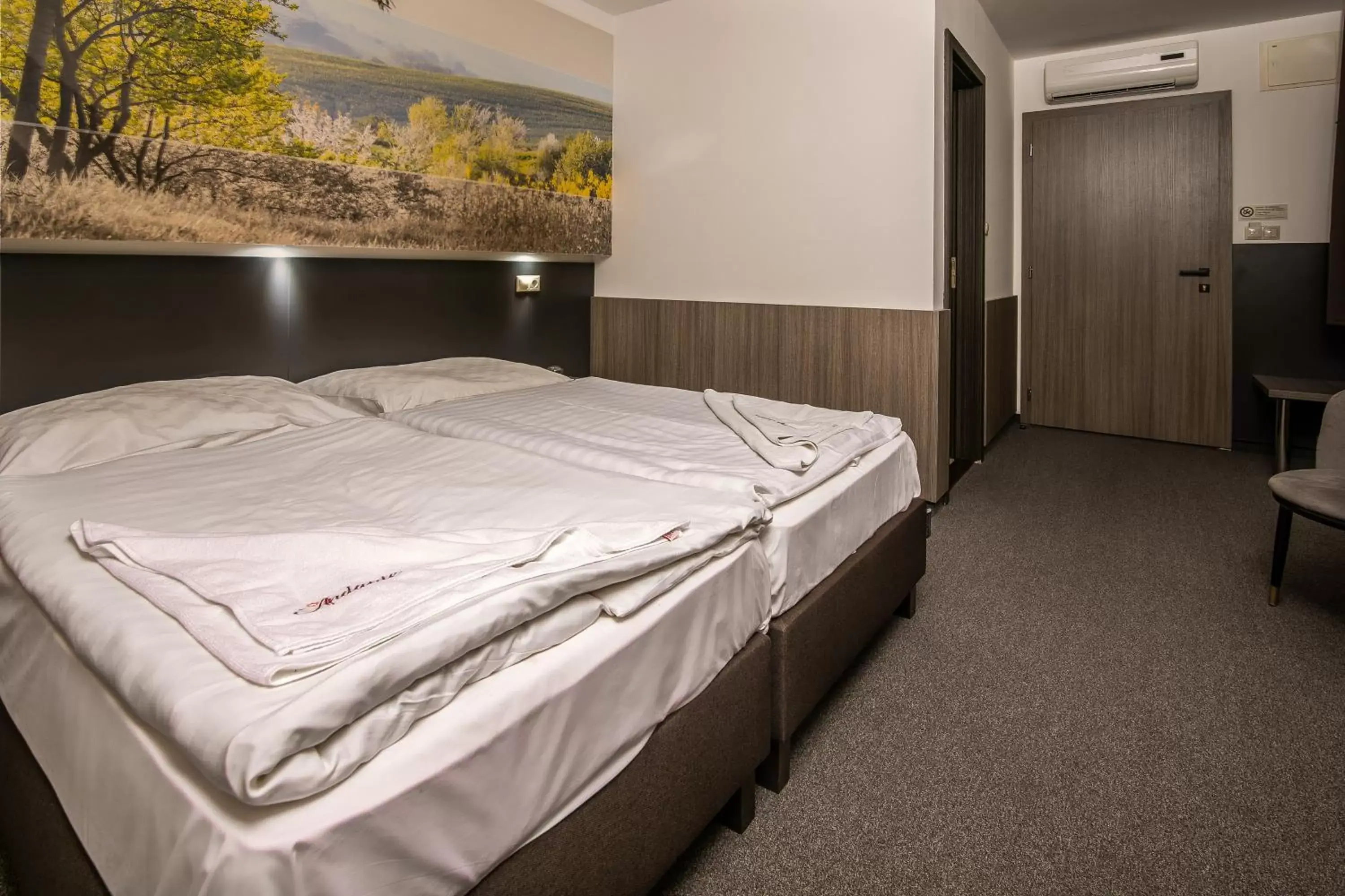 Double Room - single occupancy in Andante Pension & Restaurant Double Room - single occupancy in Andante Pension & Restaurant