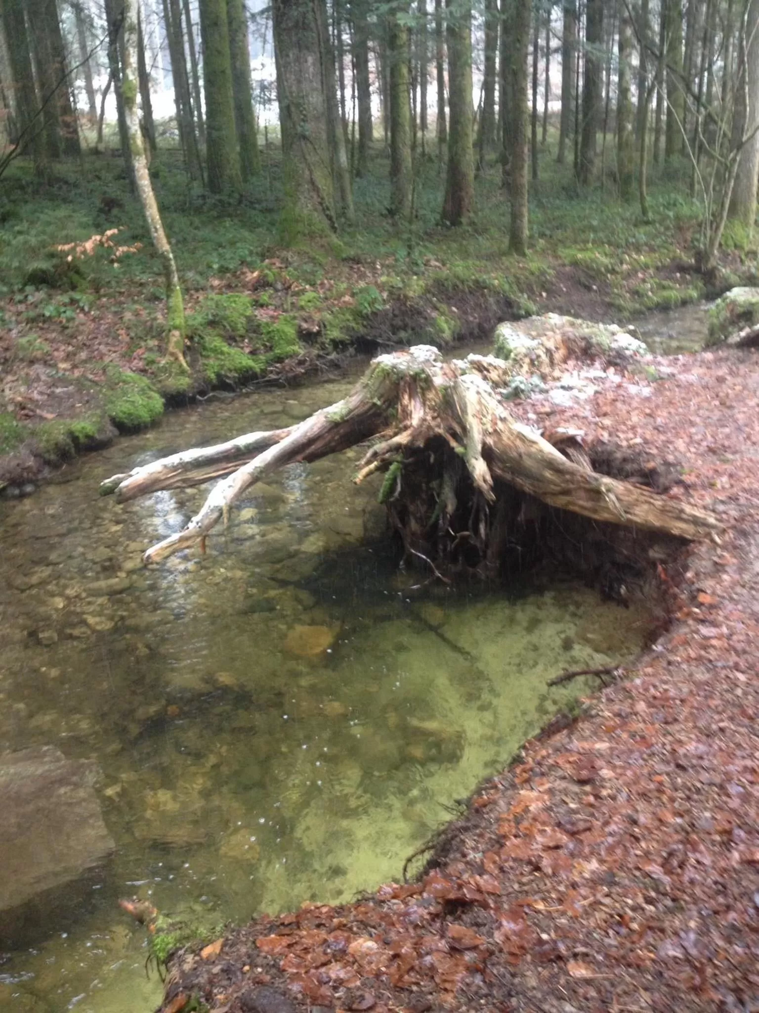 Other in Ferme Bordbar B&B