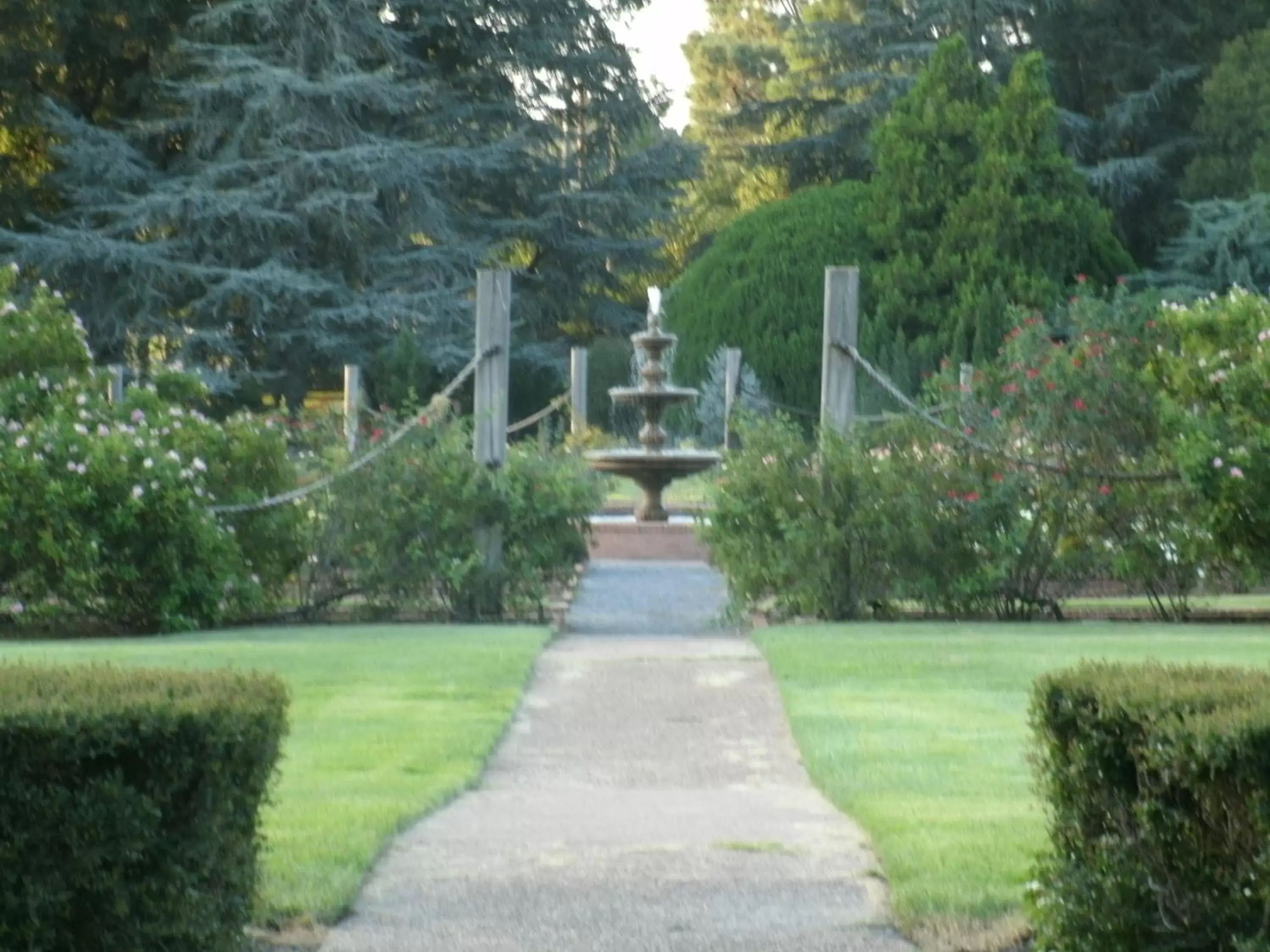 Nearby landmark, Garden in Staybridge Suites Memphis-Poplar Ave East, an IHG Hotel