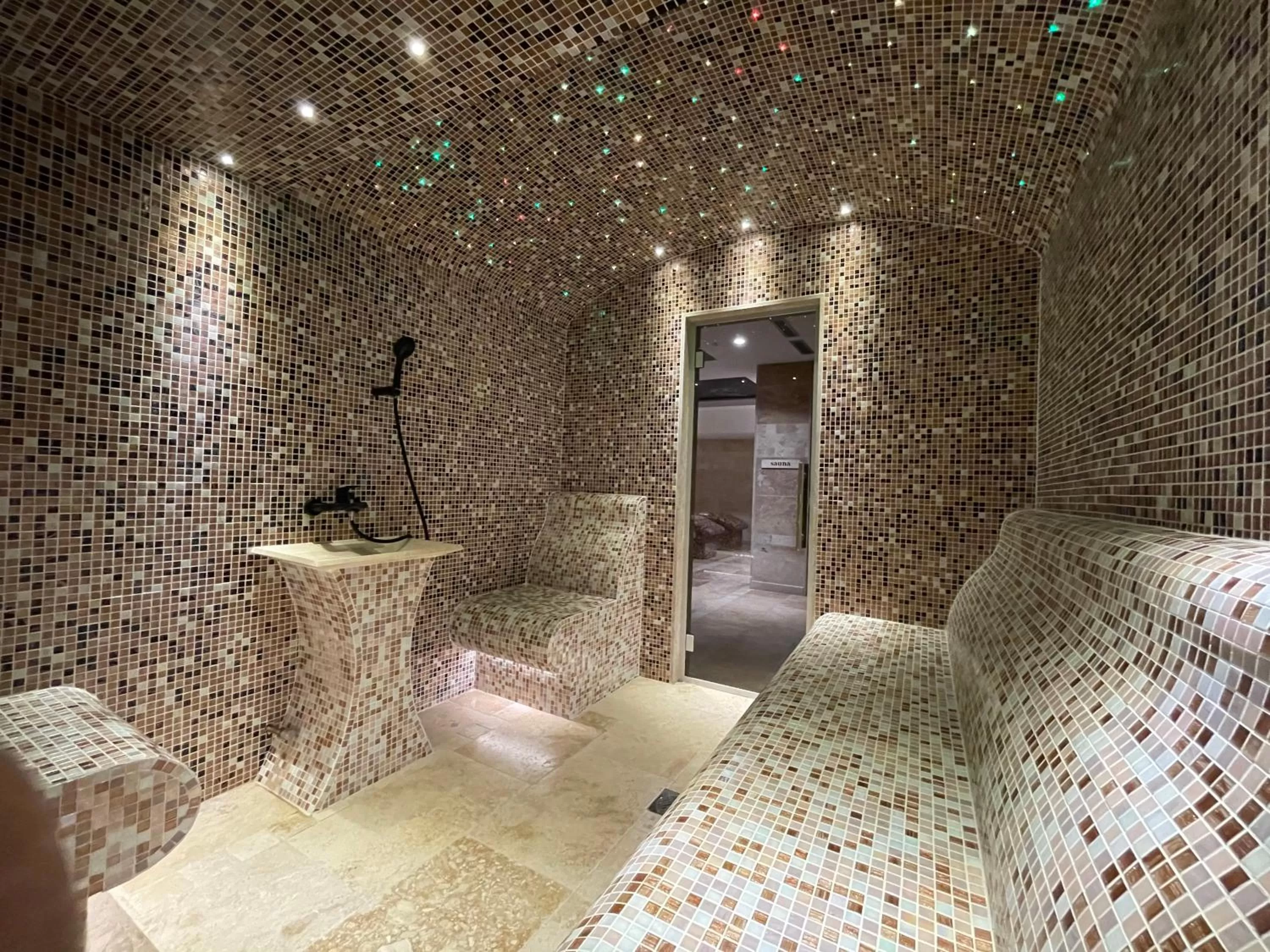 Steam room in Hotel Alexandar Lux