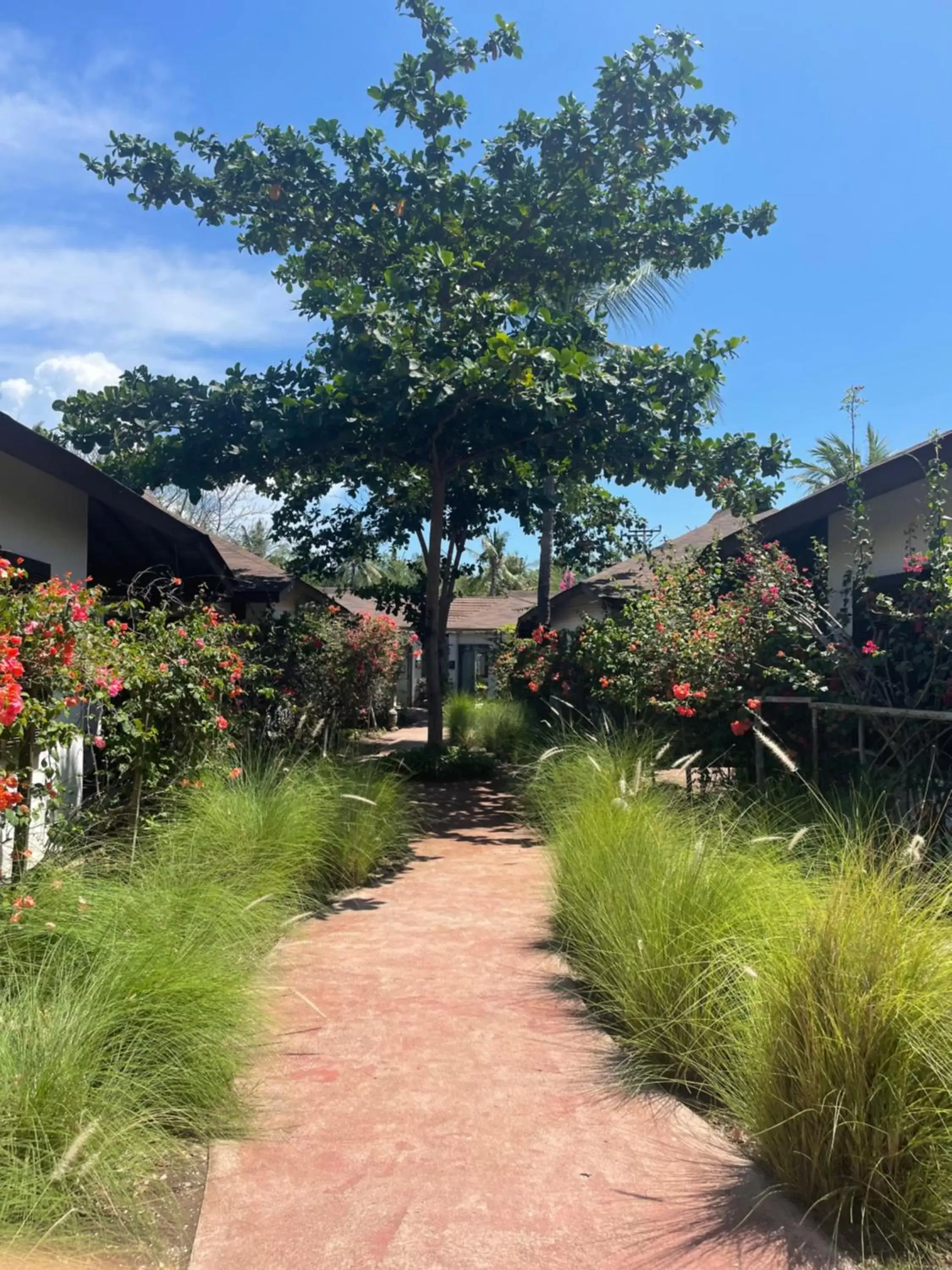 Garden in Wilson's Retreat