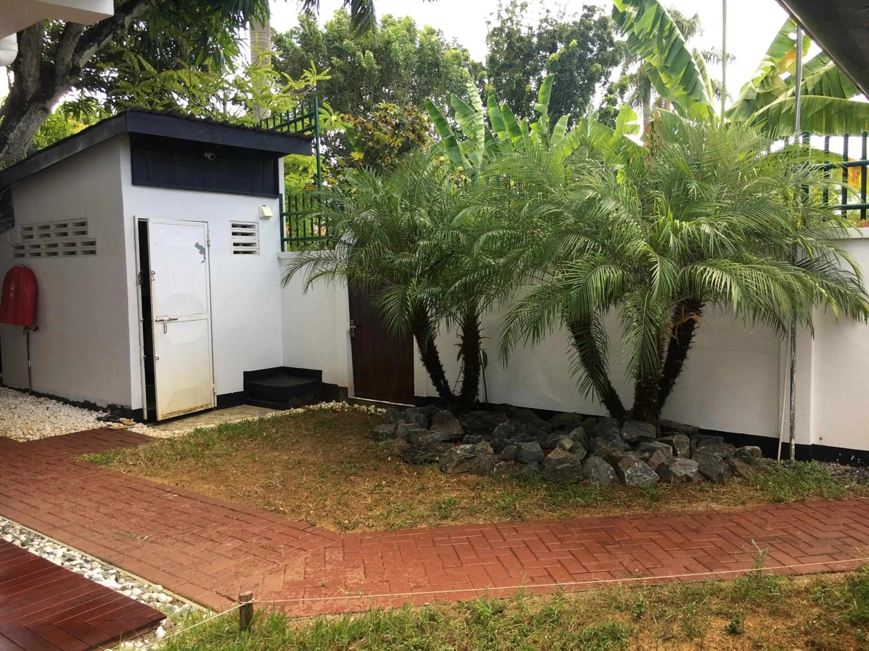 Garden in Asteria Studios