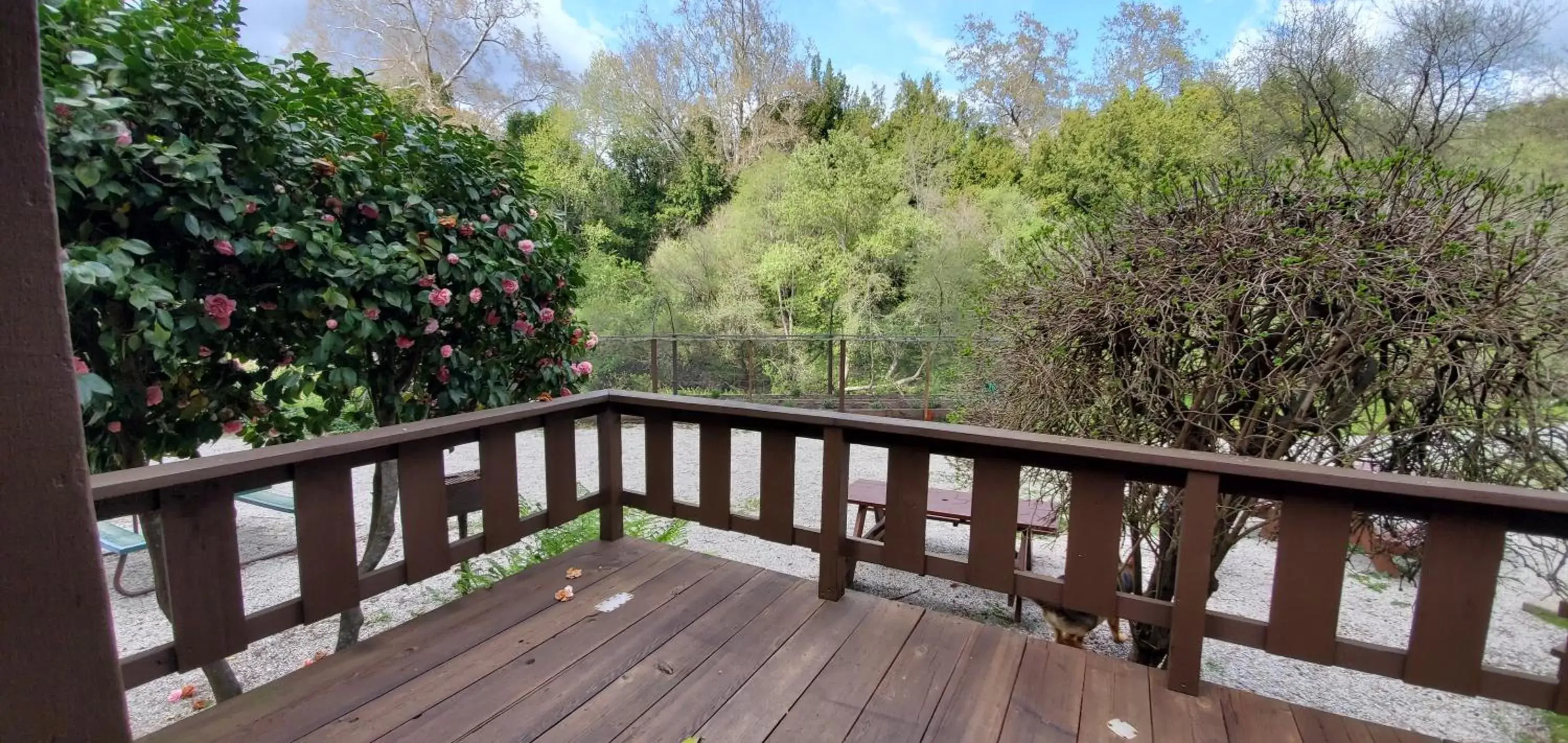 Garden view, Balcony/Terrace in Fern River Resort