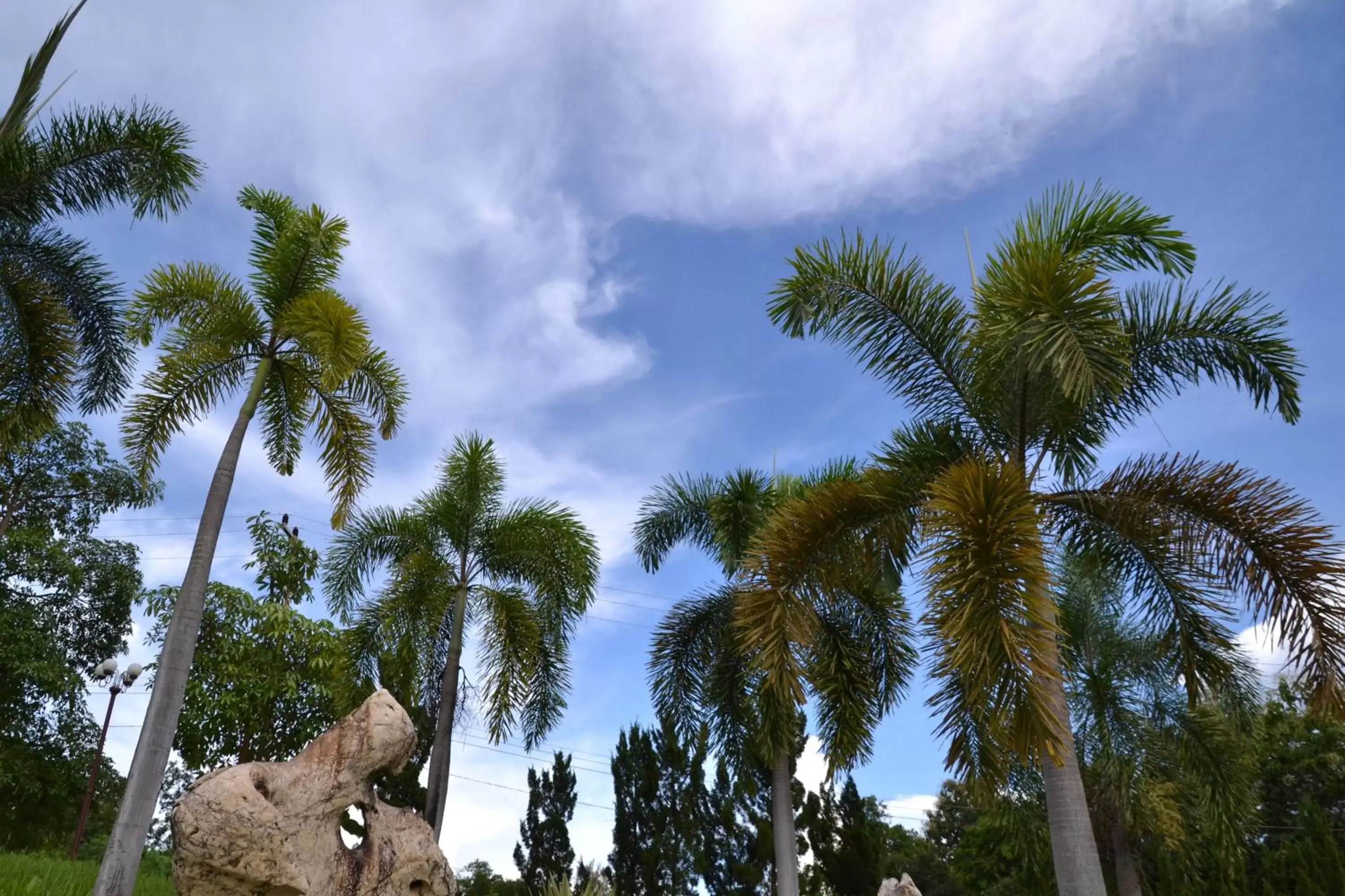 Natural landscape in Touch Star Resort - Doi Inthanon