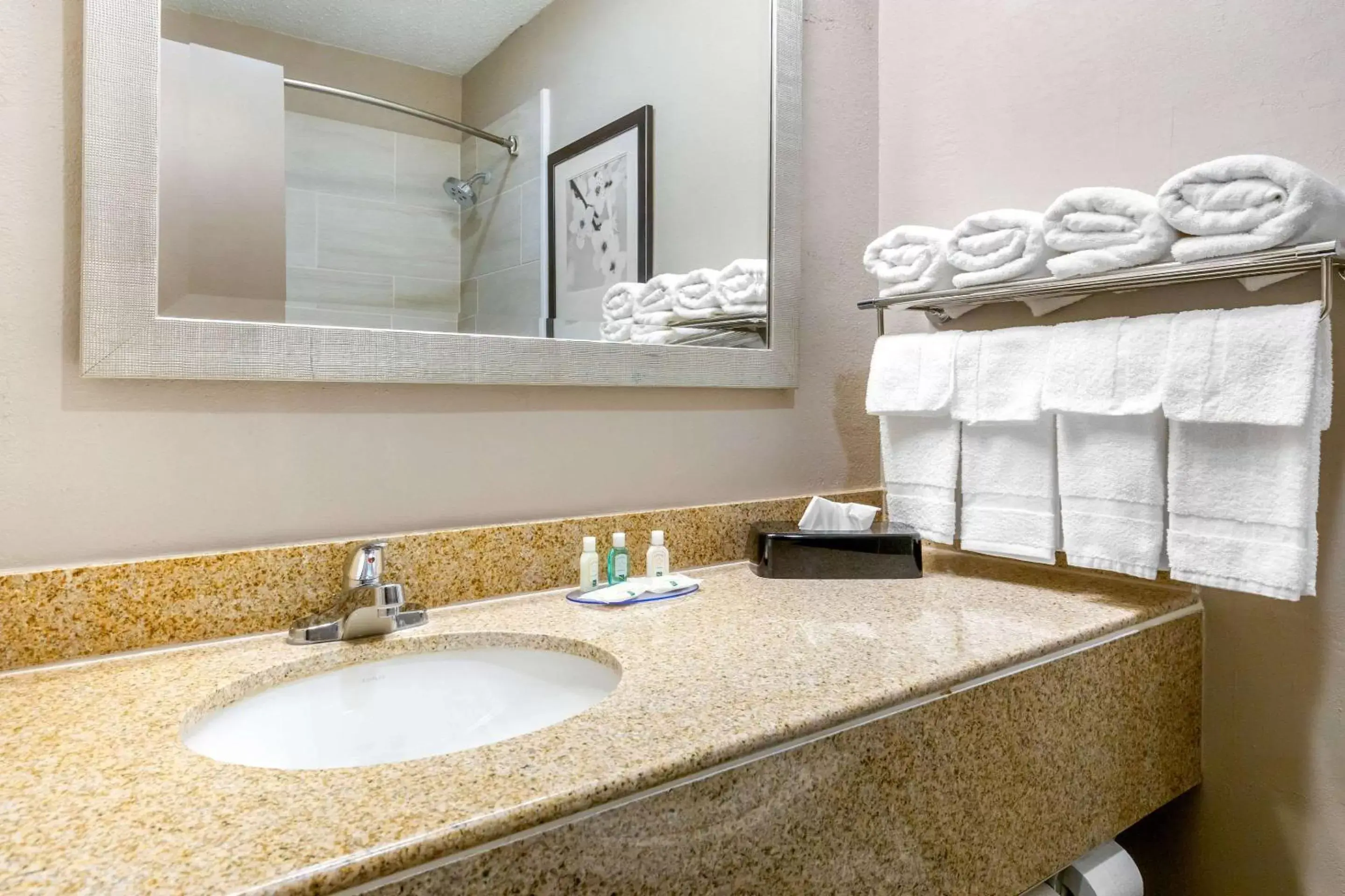 Bathroom in Quality Inn & Suites Apex-Holly Springs