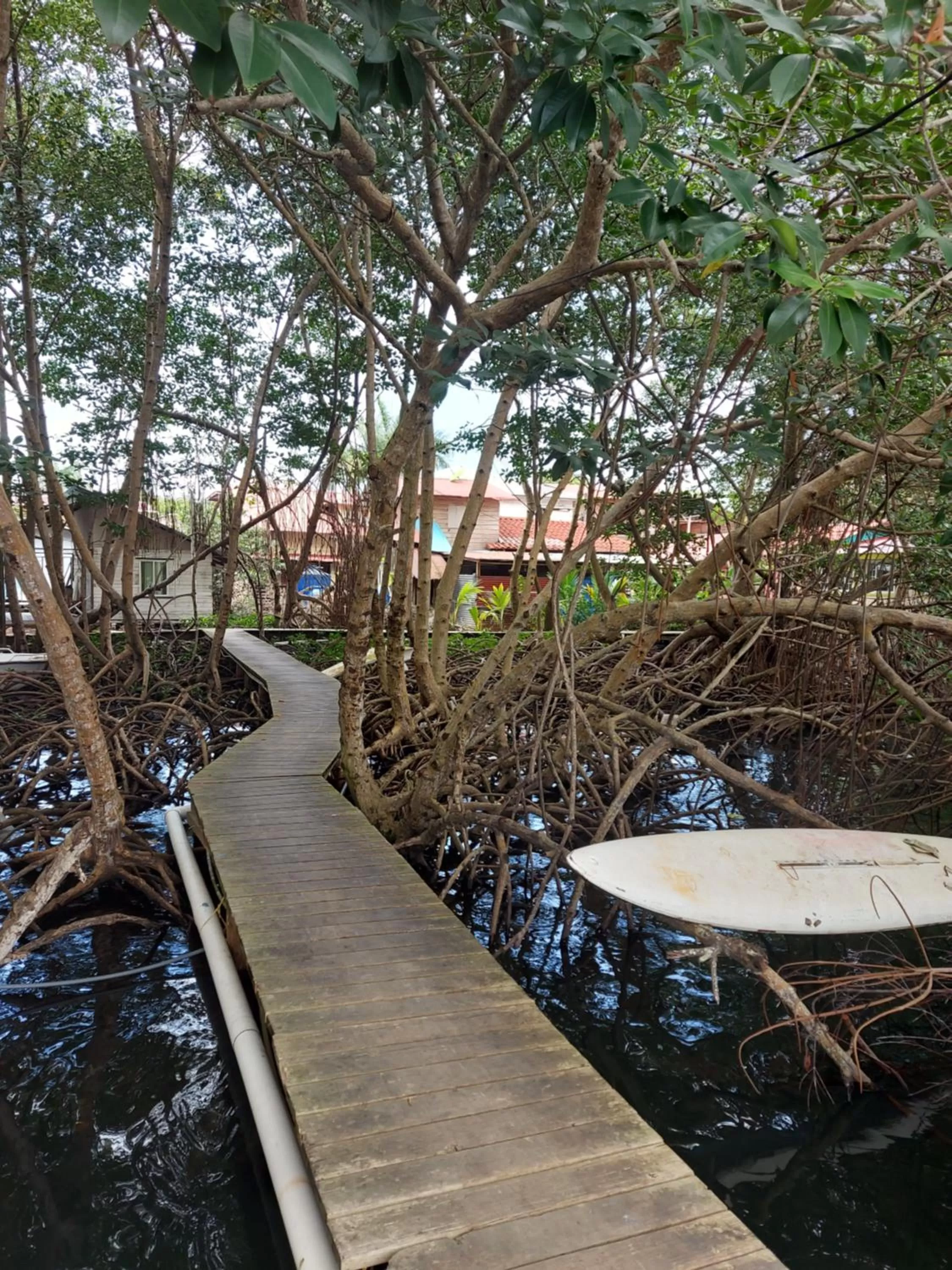 The Sunsetter Bed & Breakfast