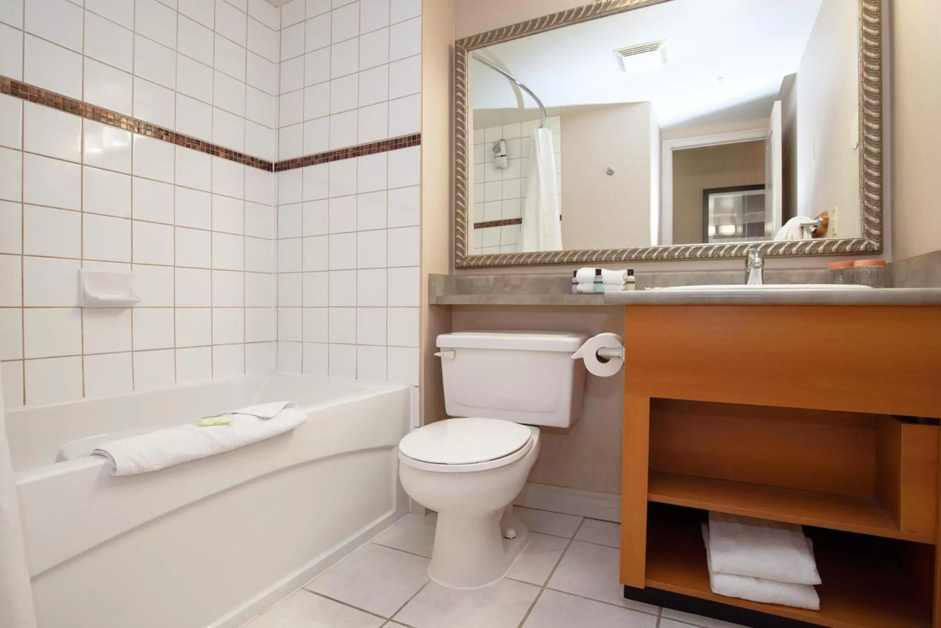 Bathroom in Sandman Hotel & Suites Regina