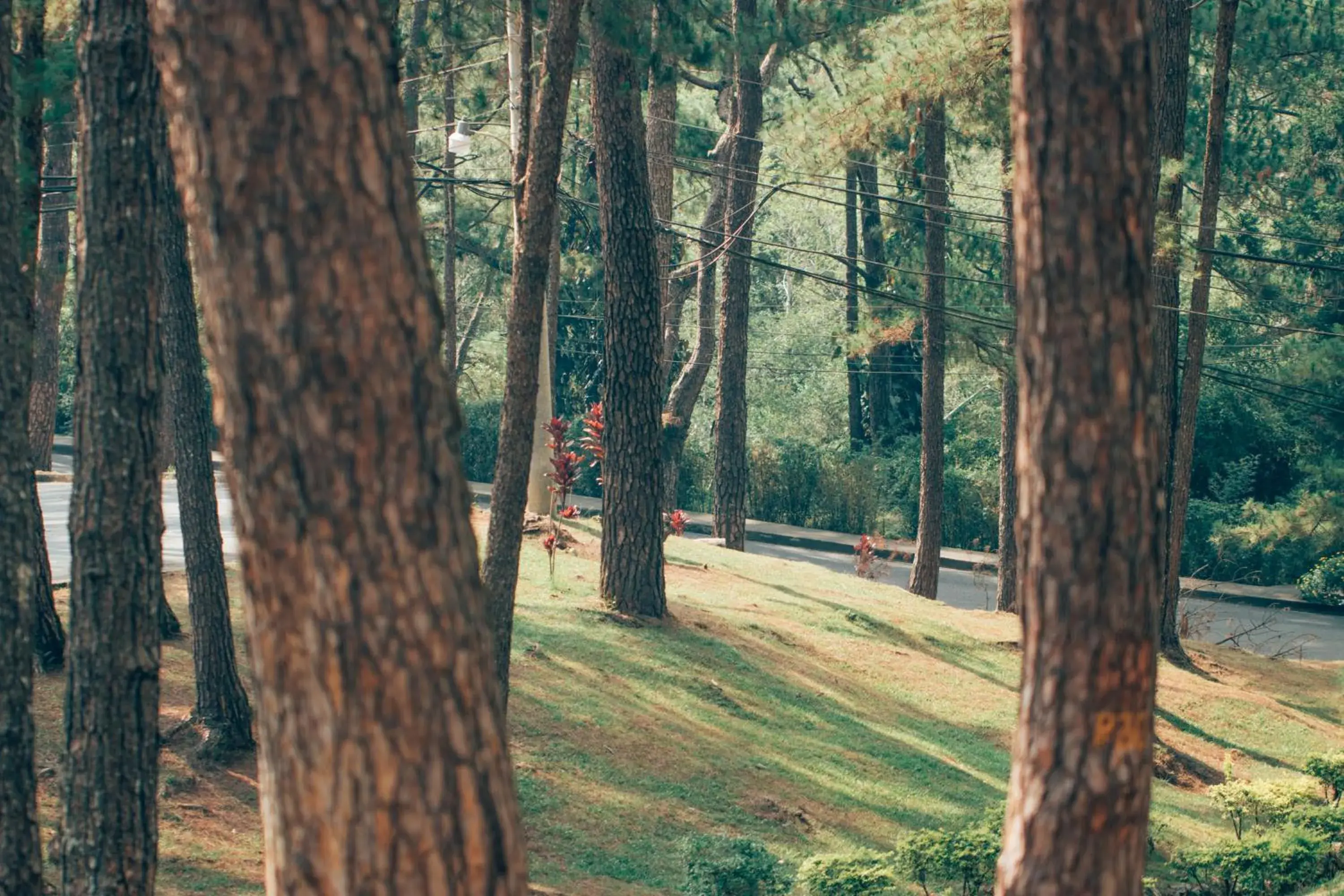 Nearby landmark in Azalea Hotels & Residences Baguio