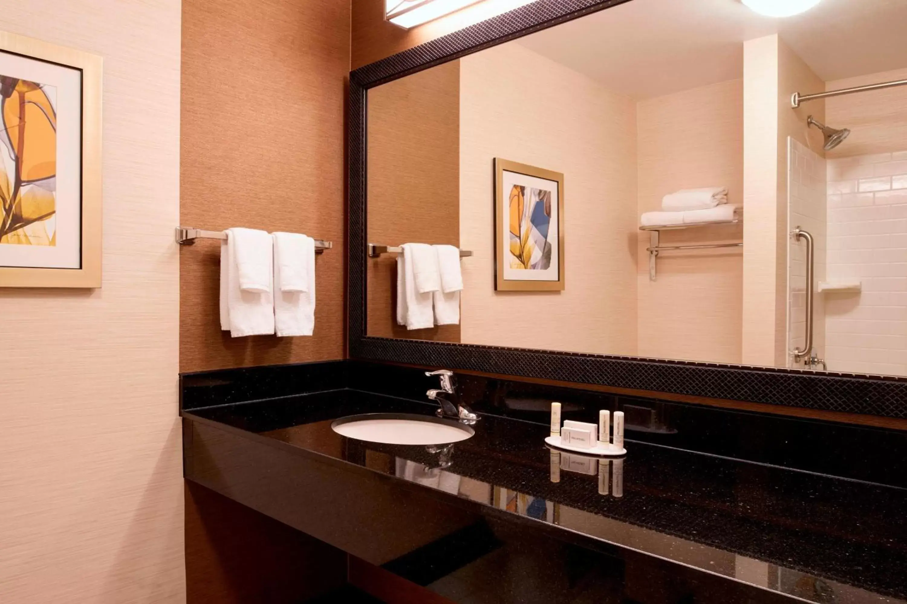 Bathroom in Fairfield Inn and Suites New Buffalo