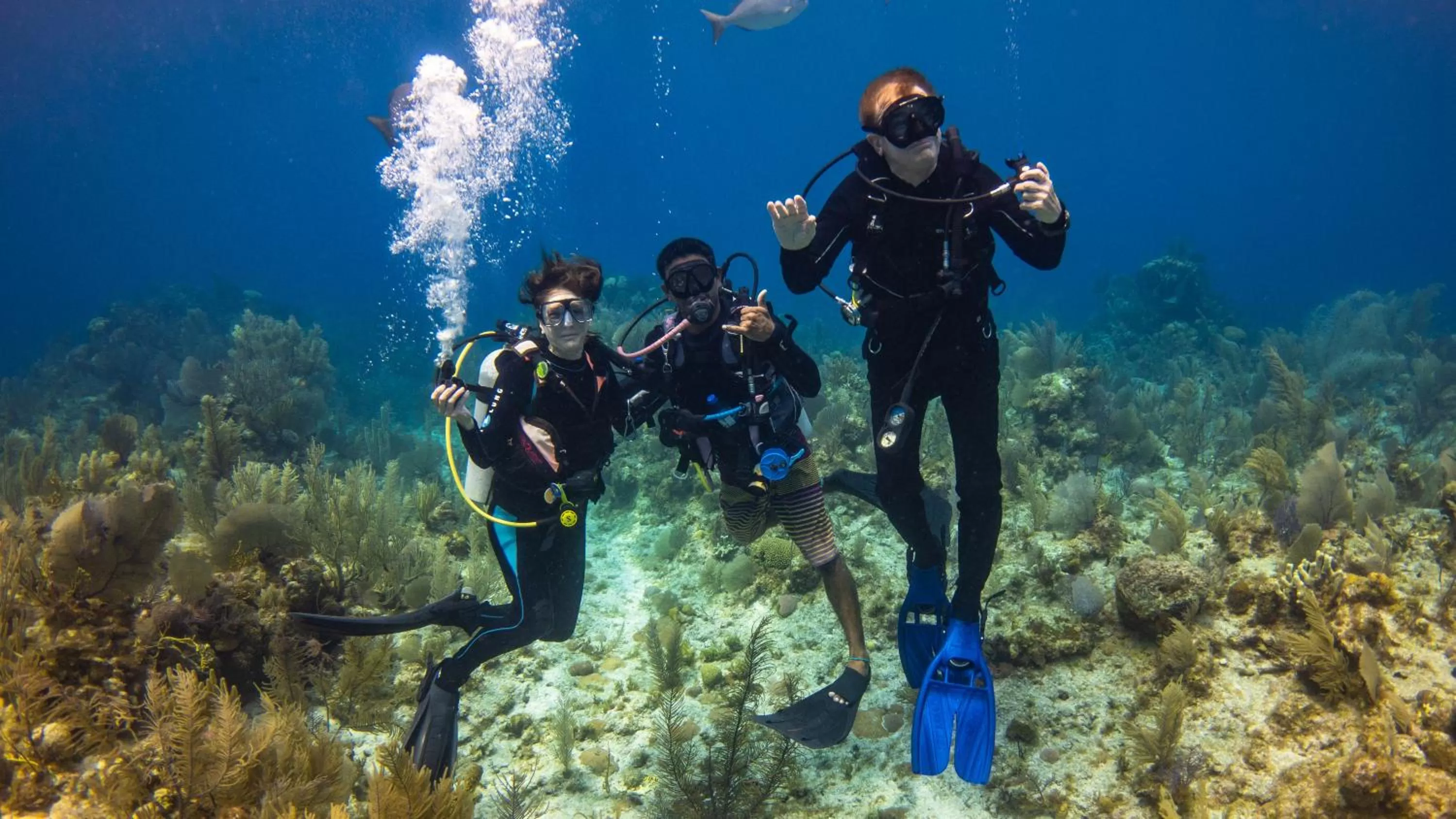 Diving in Portofino Beach Resort-An Authentic Island Escape!