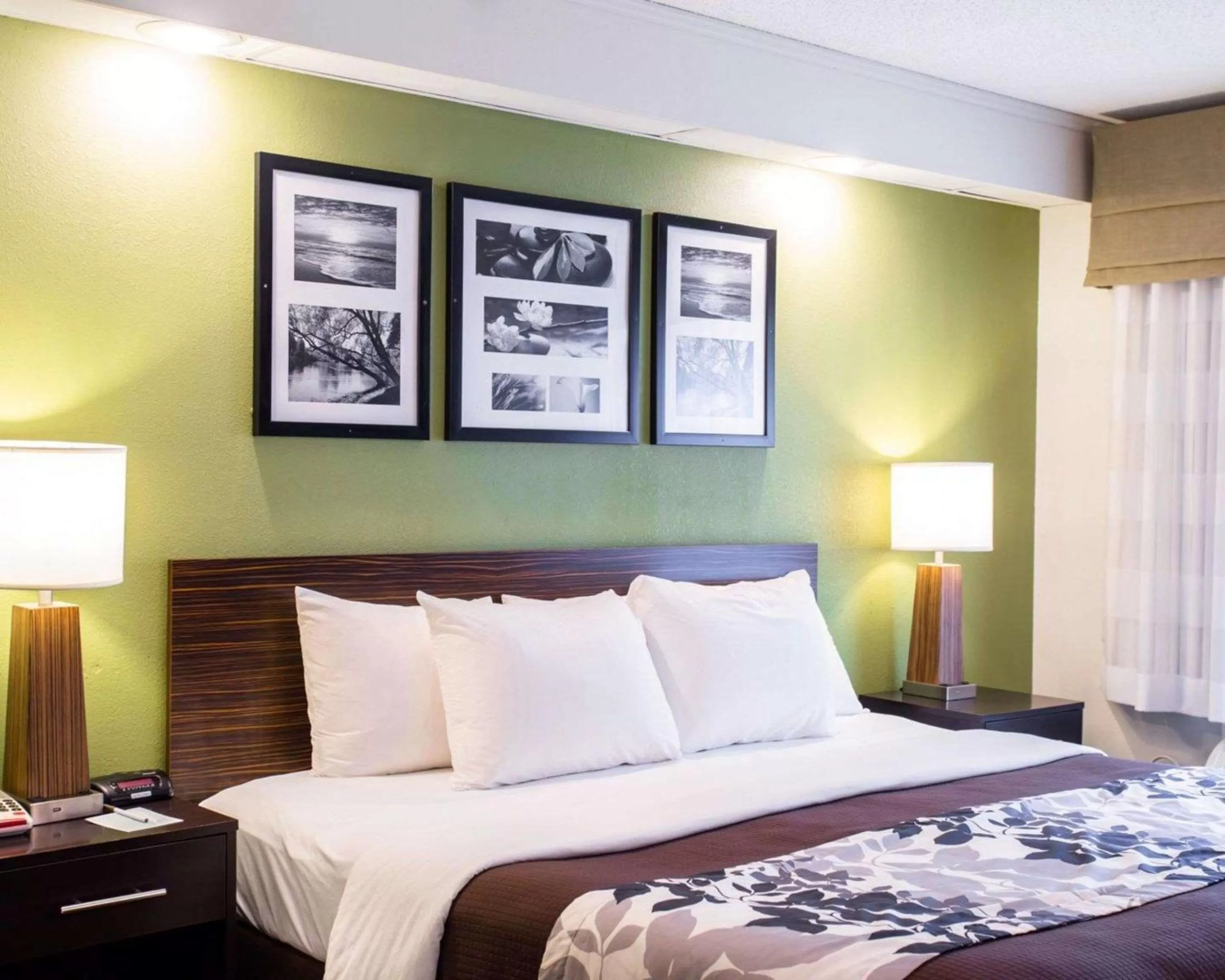 Photo of the whole room, Bed in Sleep Inn Nashville North - Downtown Area