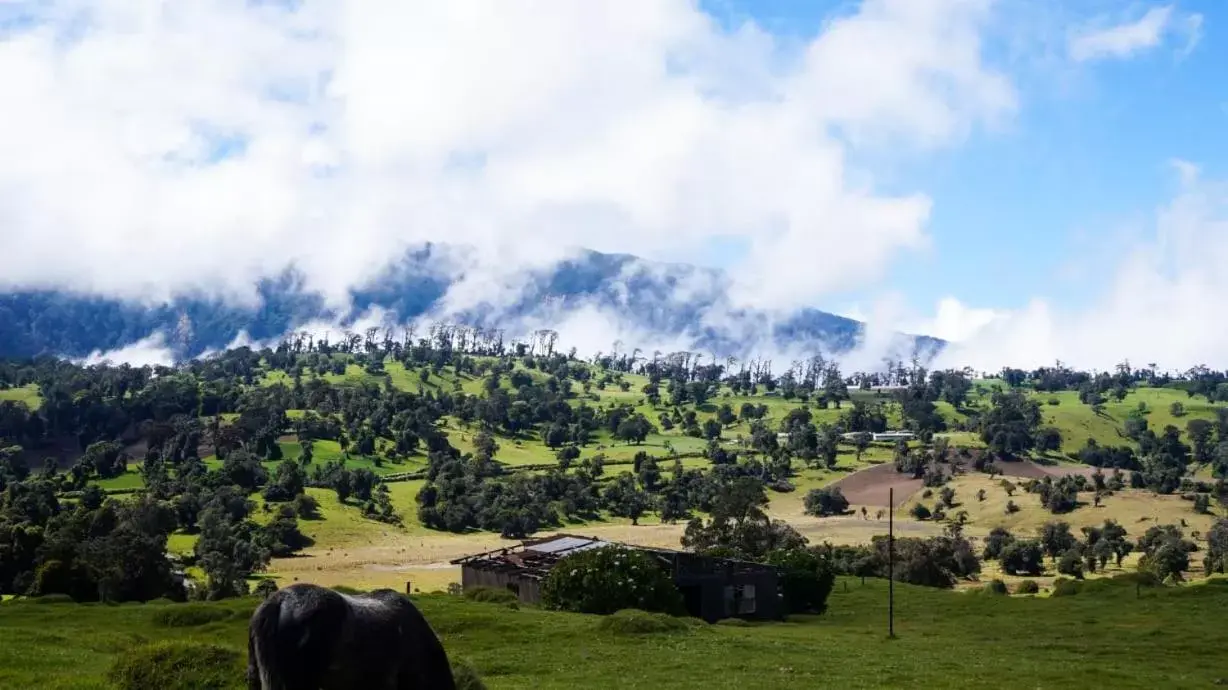 Natural landscape in Hospedaje La Naciente