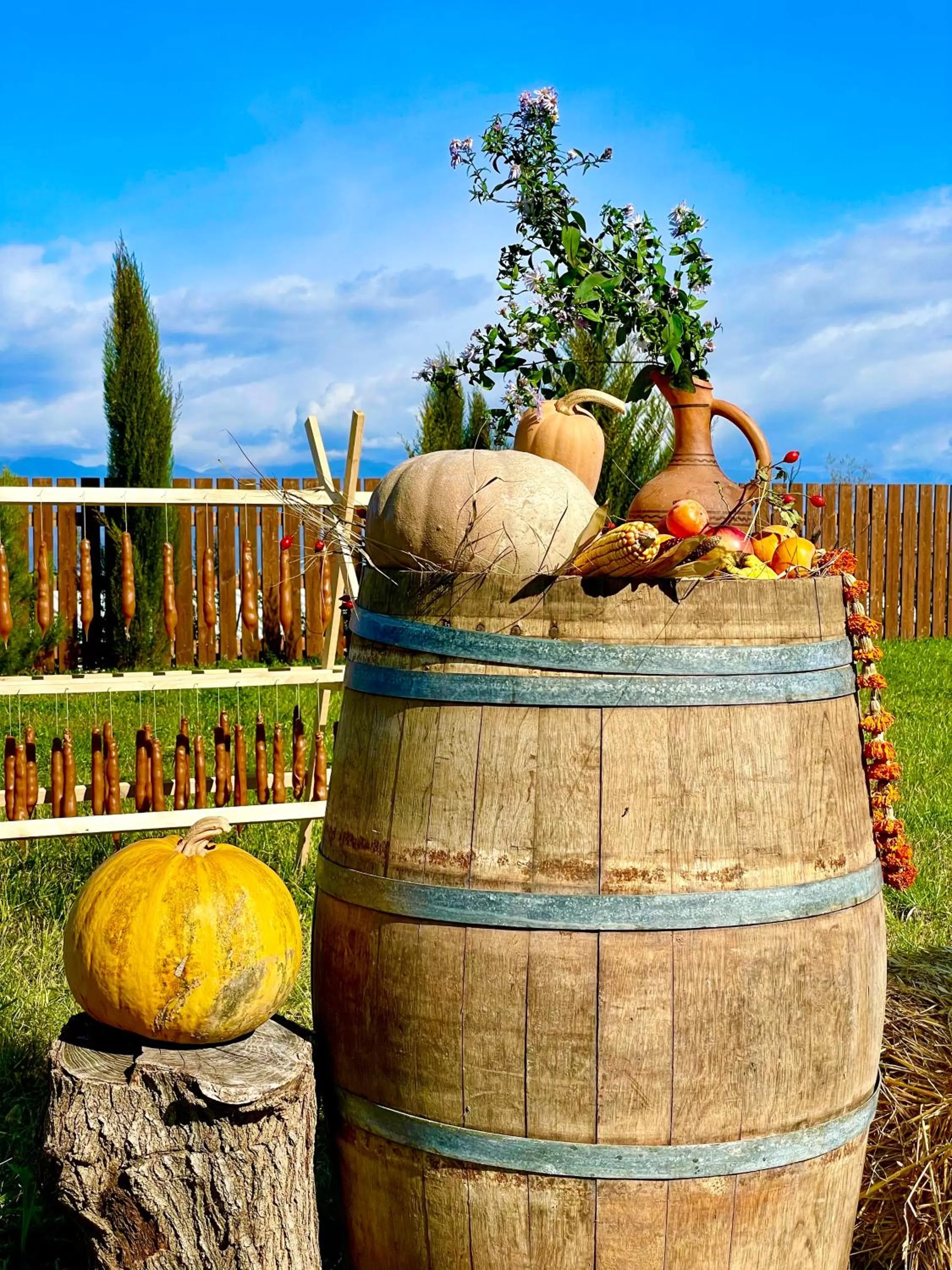 Day in The Wine Hotel Telavi