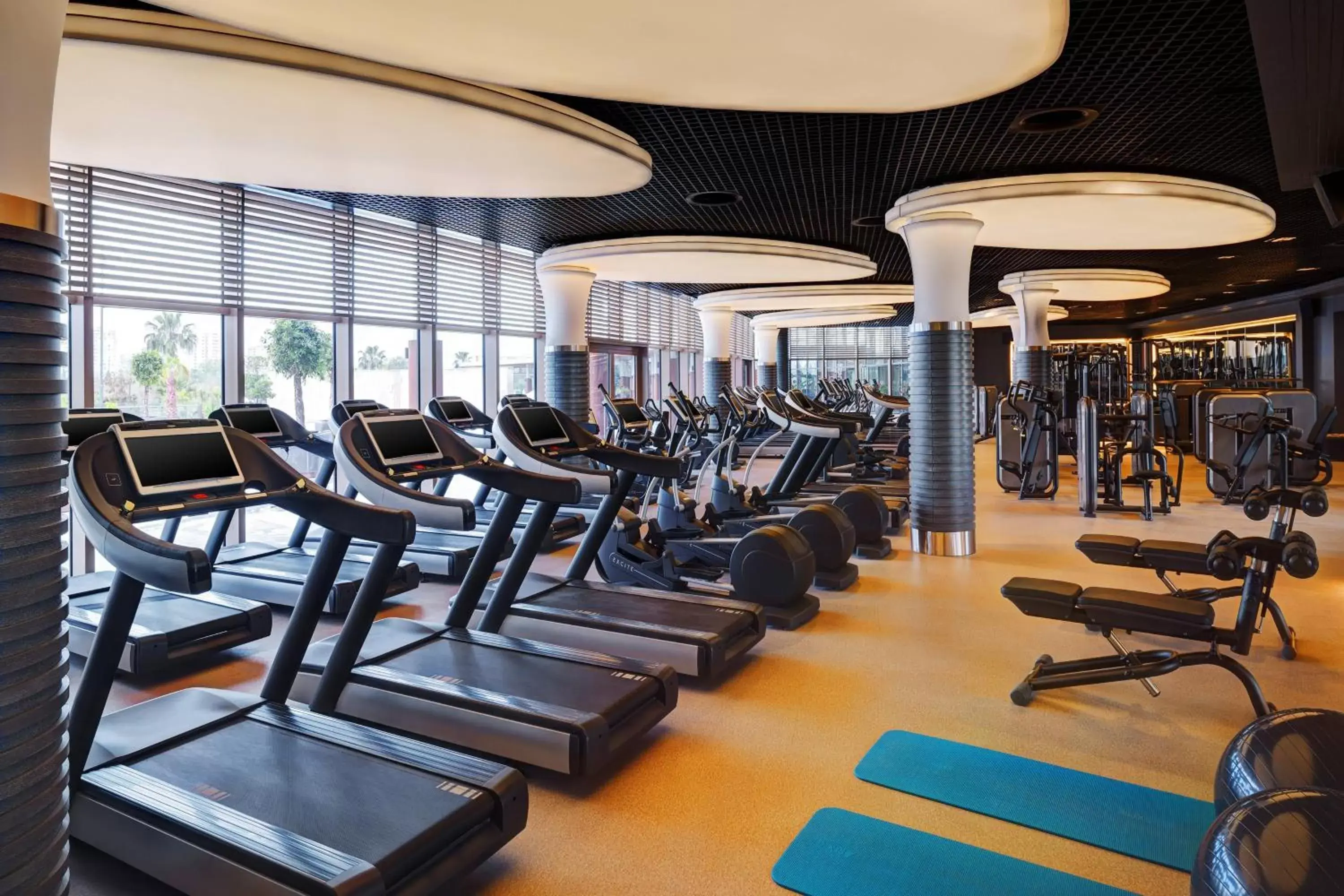 Fitness centre/facilities, Fitness Center/Facilities in Sheraton Grand Adana