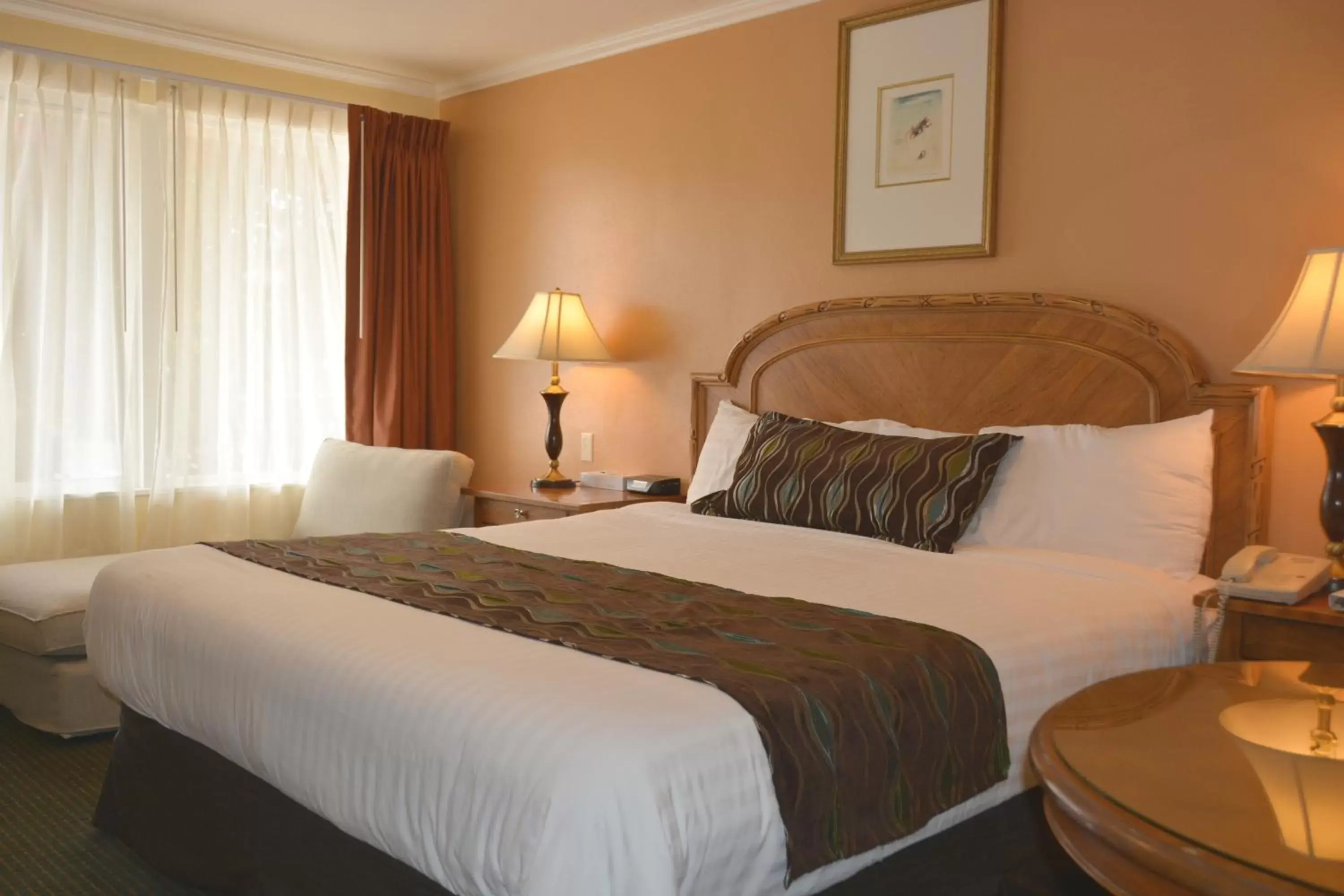 King Room in Oasis Inn and Suites