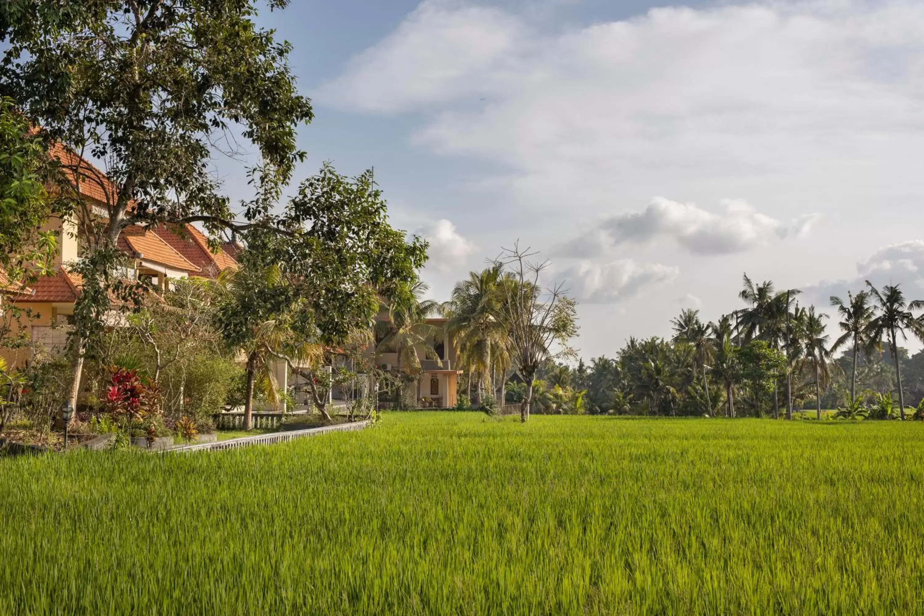 View (from property/room), Garden in Green Field Hotel and Restaurant