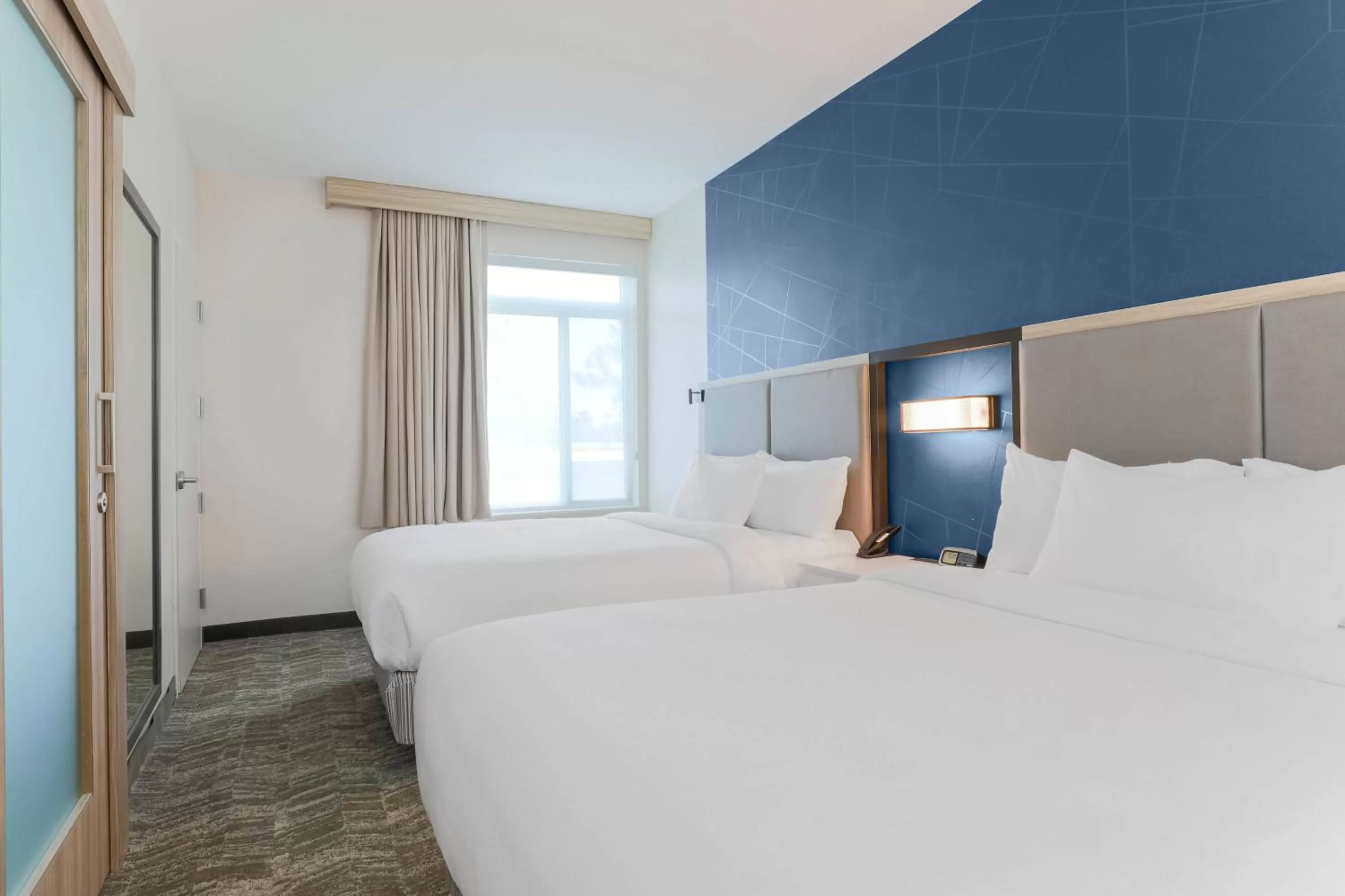 Queen Studio with City View and Pool - Hearing Accessible in SpringHill Suites by Marriott Tallahassee North