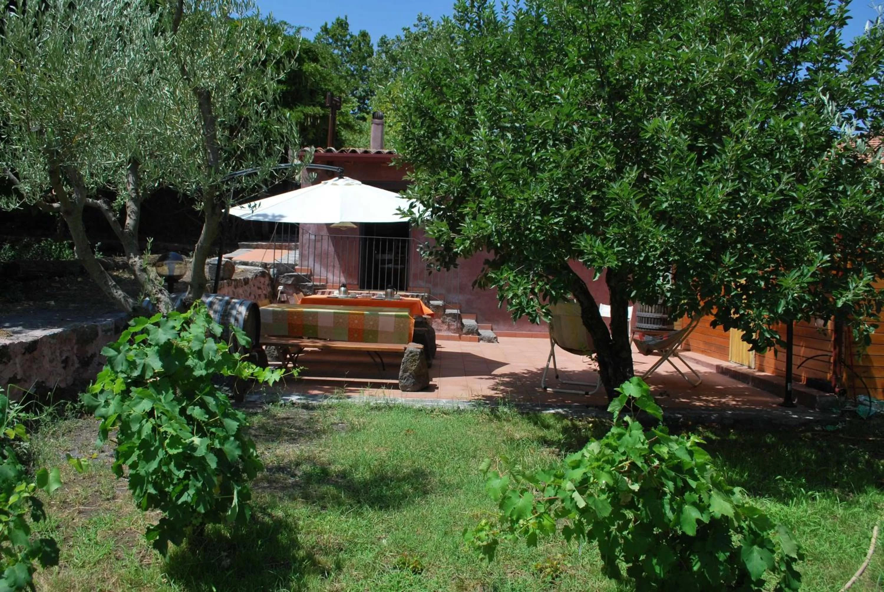 Natural landscape in Case Zuccaro