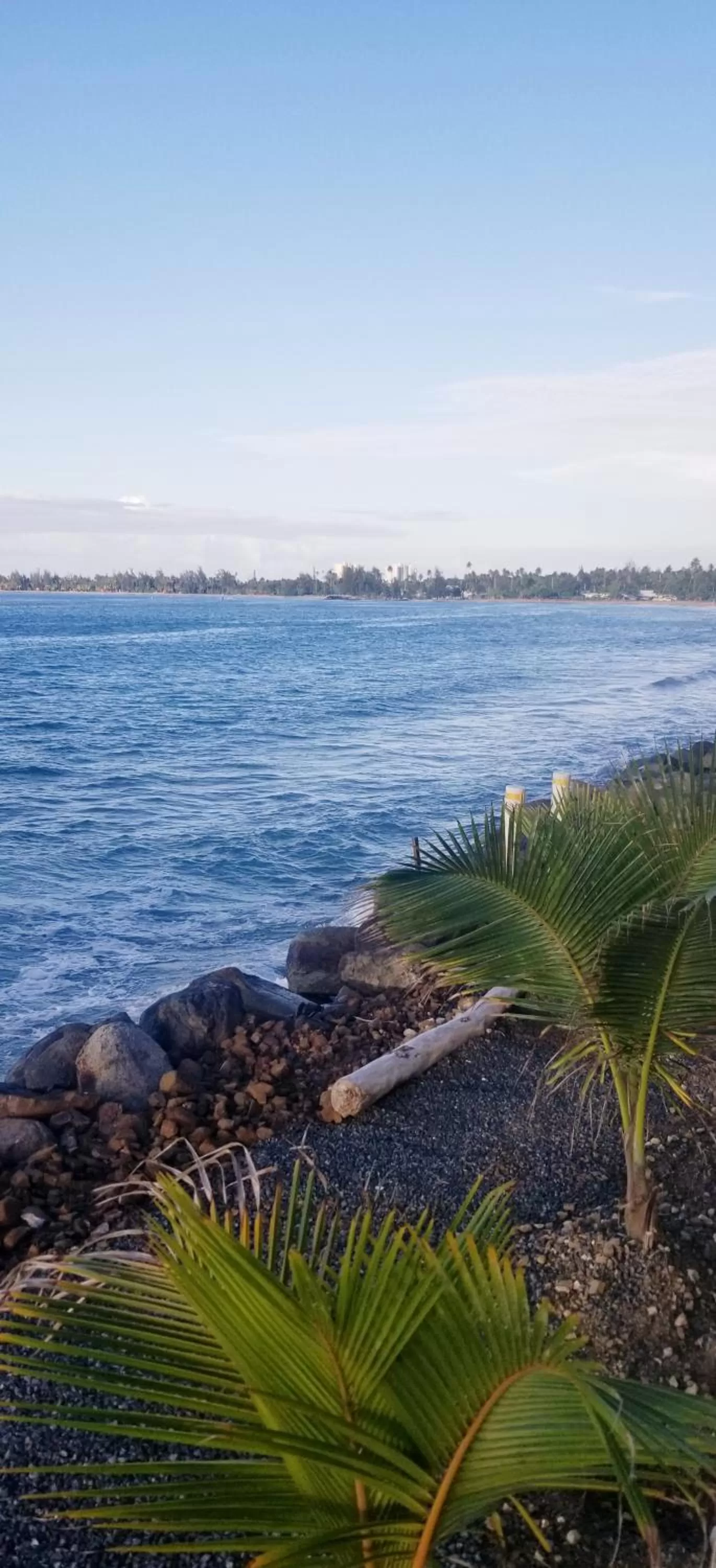 Sea view in Selva Boutique Hotel - Luquillo Oceanfront Retreat - Adults Only