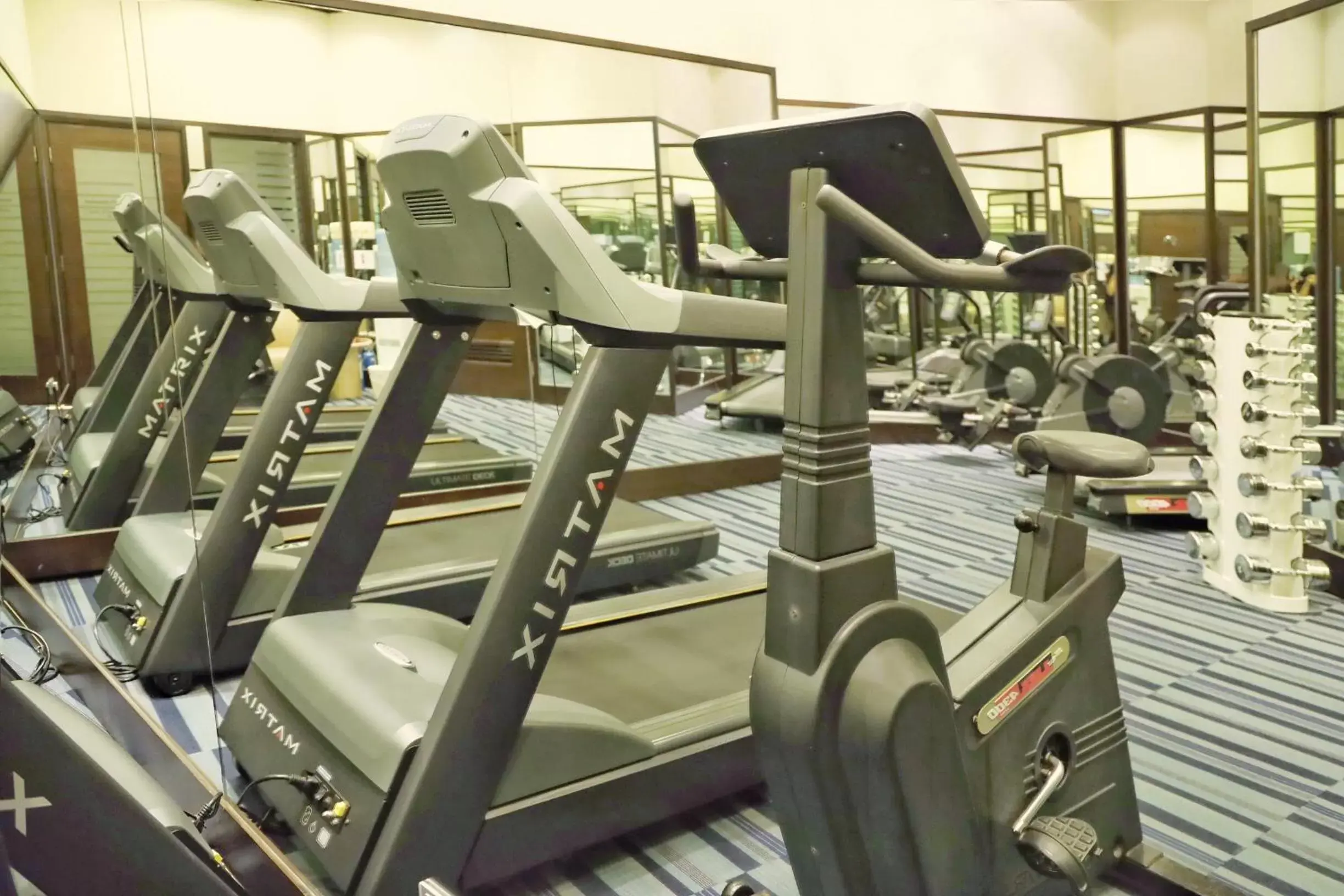 Fitness centre/facilities, Fitness Center/Facilities in South Pacific Hotel