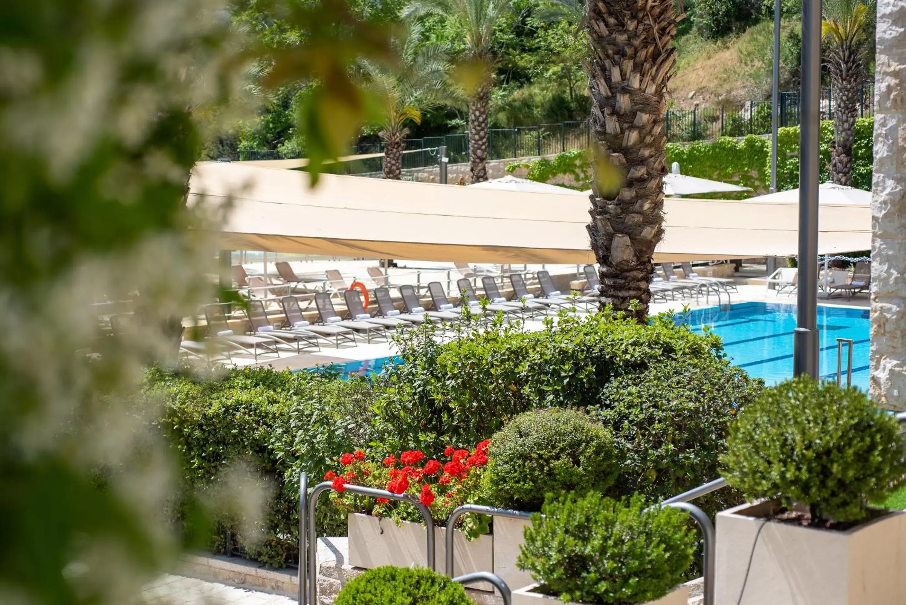 Garden, Pool View in Hotel Yehuda