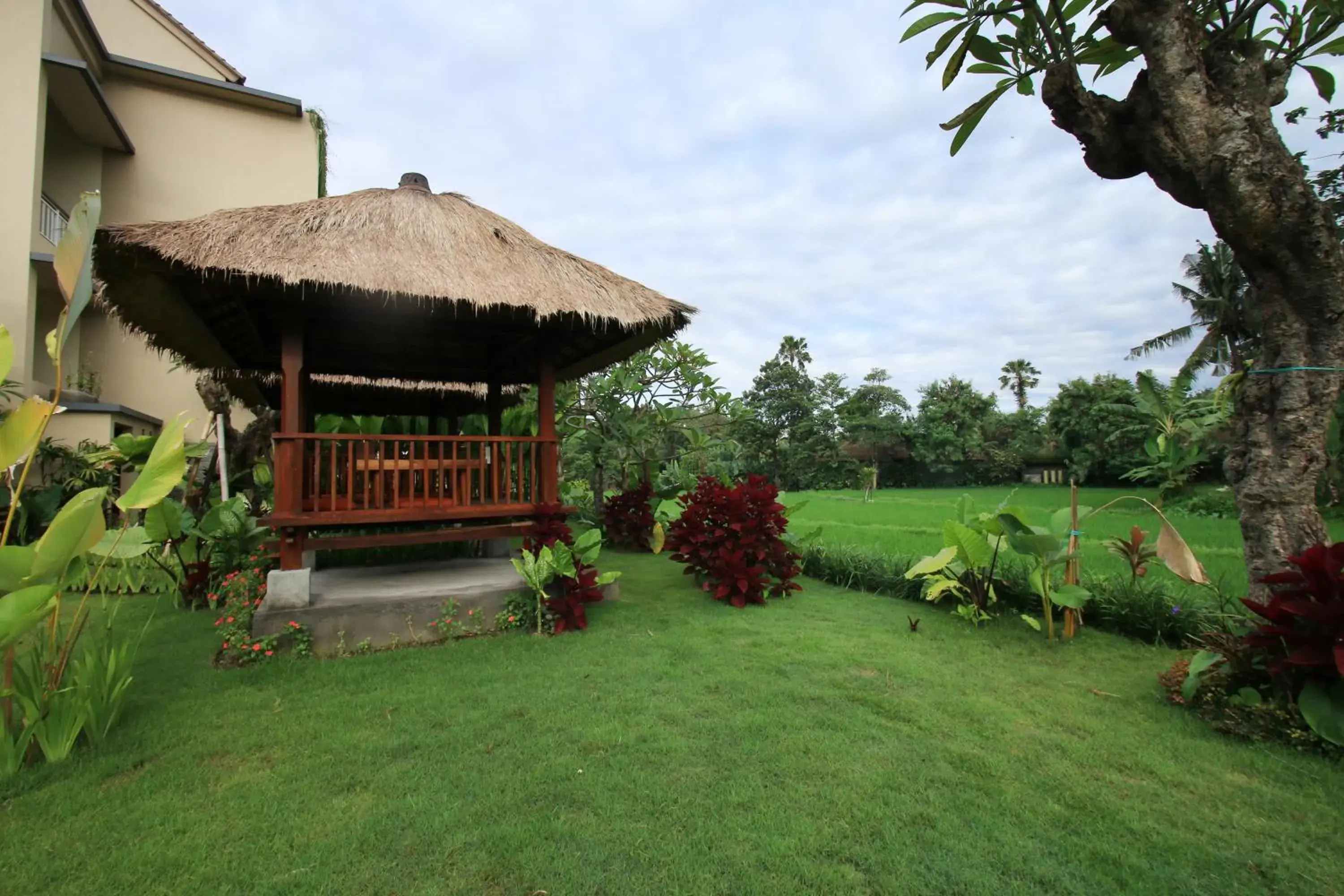 Garden in Byasa Ubud Hotel