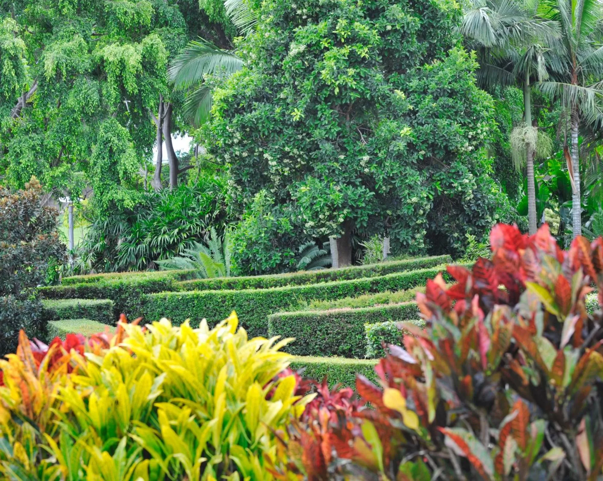 Nearby landmark in Soho Brisbane