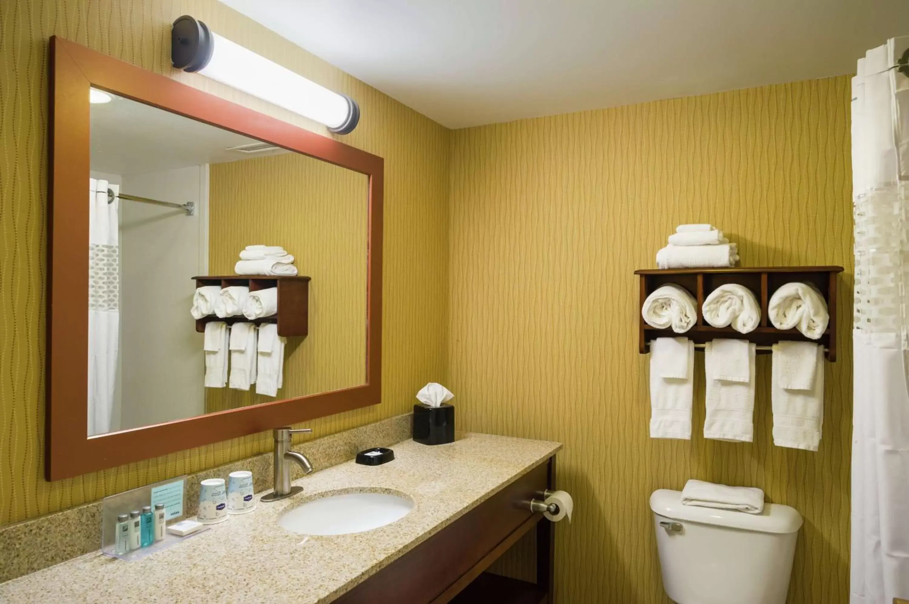 Bathroom in Hampton Inn Selinsgrove/Shamokin Dam Bathroom in Hampton Inn Selinsgrove/Shamokin Dam