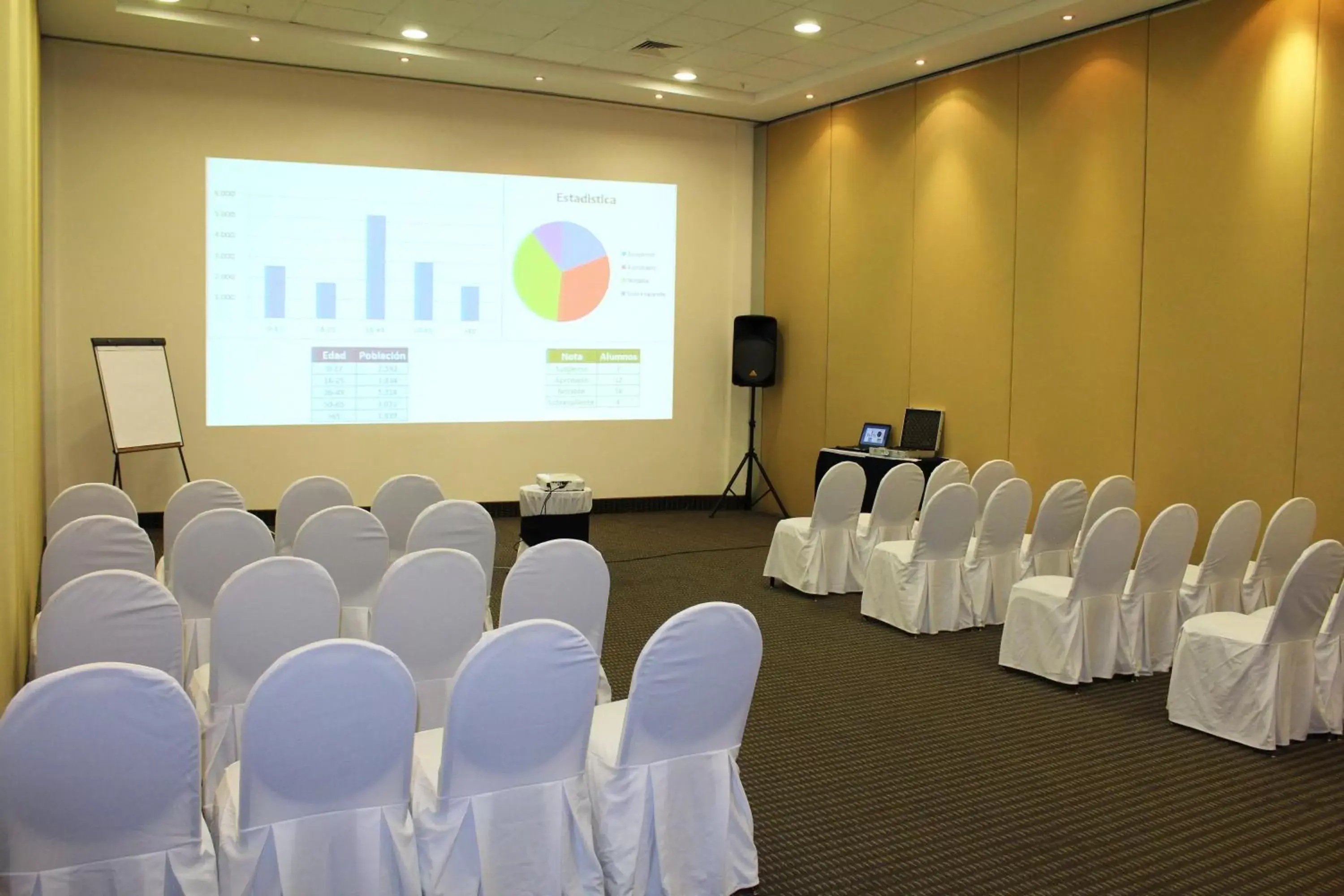 Meeting/conference room in Holiday Inn Express Mérida, an IHG Hotel