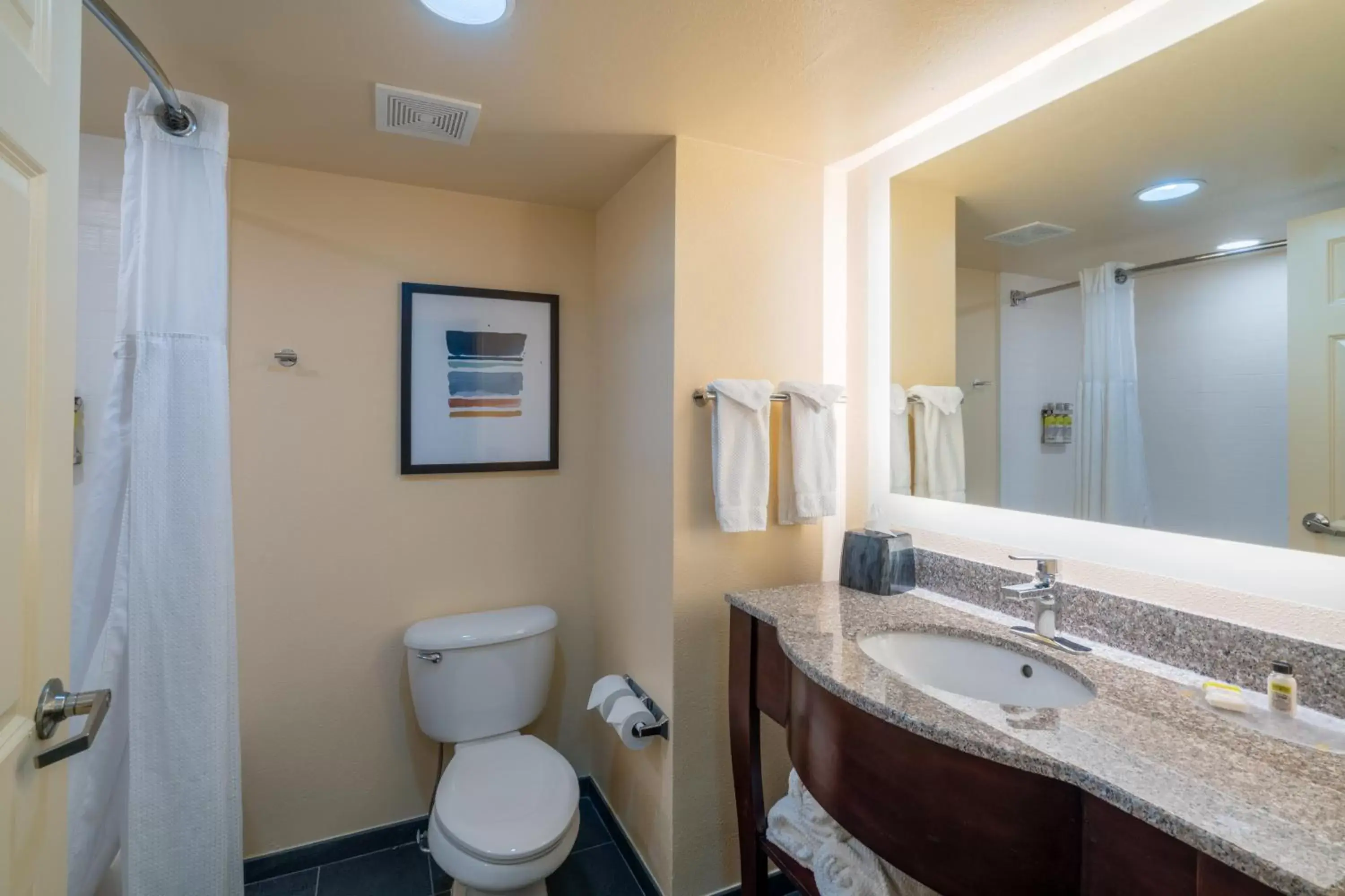 Photo of the whole room, Bathroom in Staybridge Suites Memphis-Poplar Ave East, an IHG Hotel