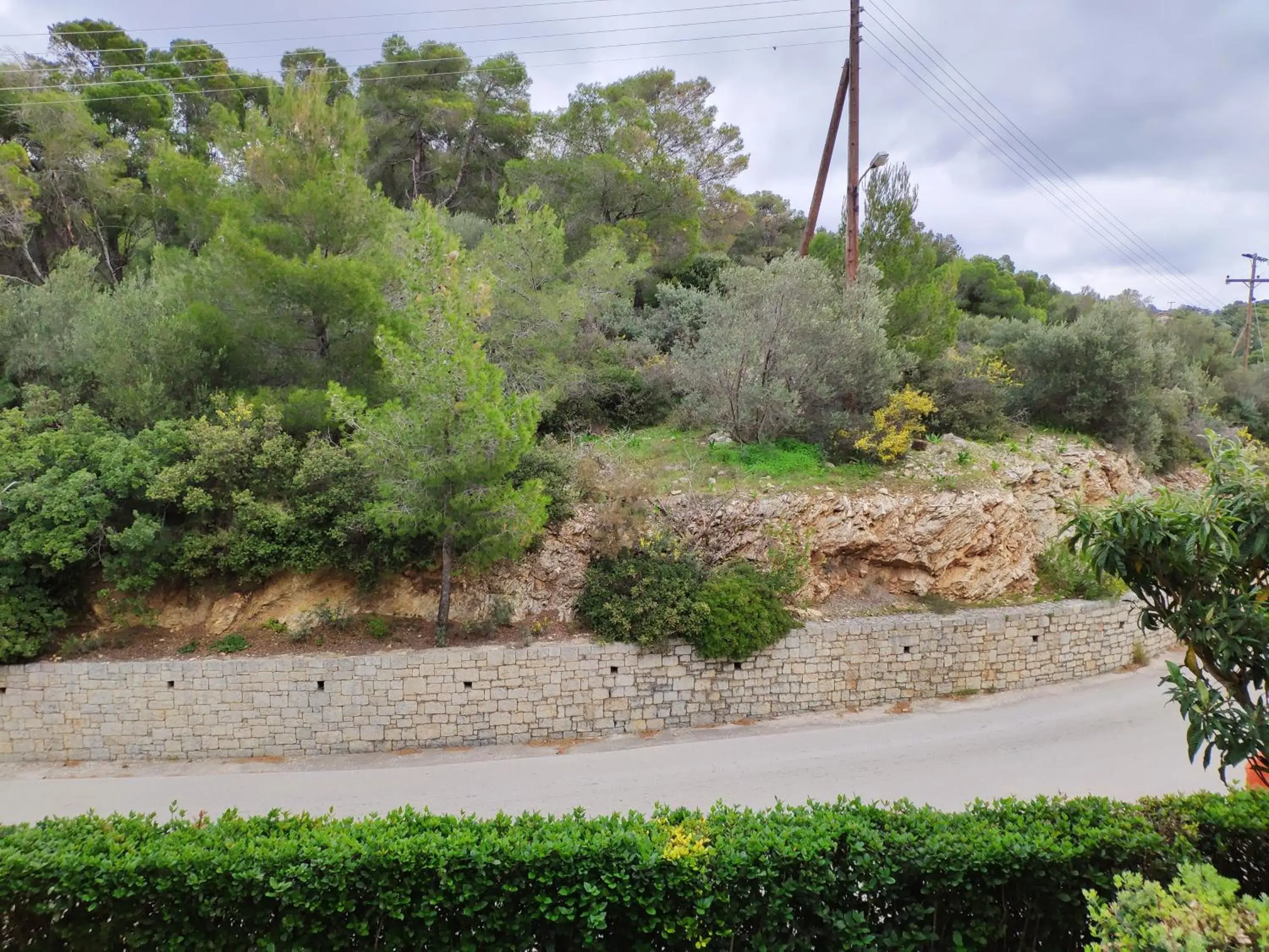 Natural landscape in Xenia Poros Image Hotel