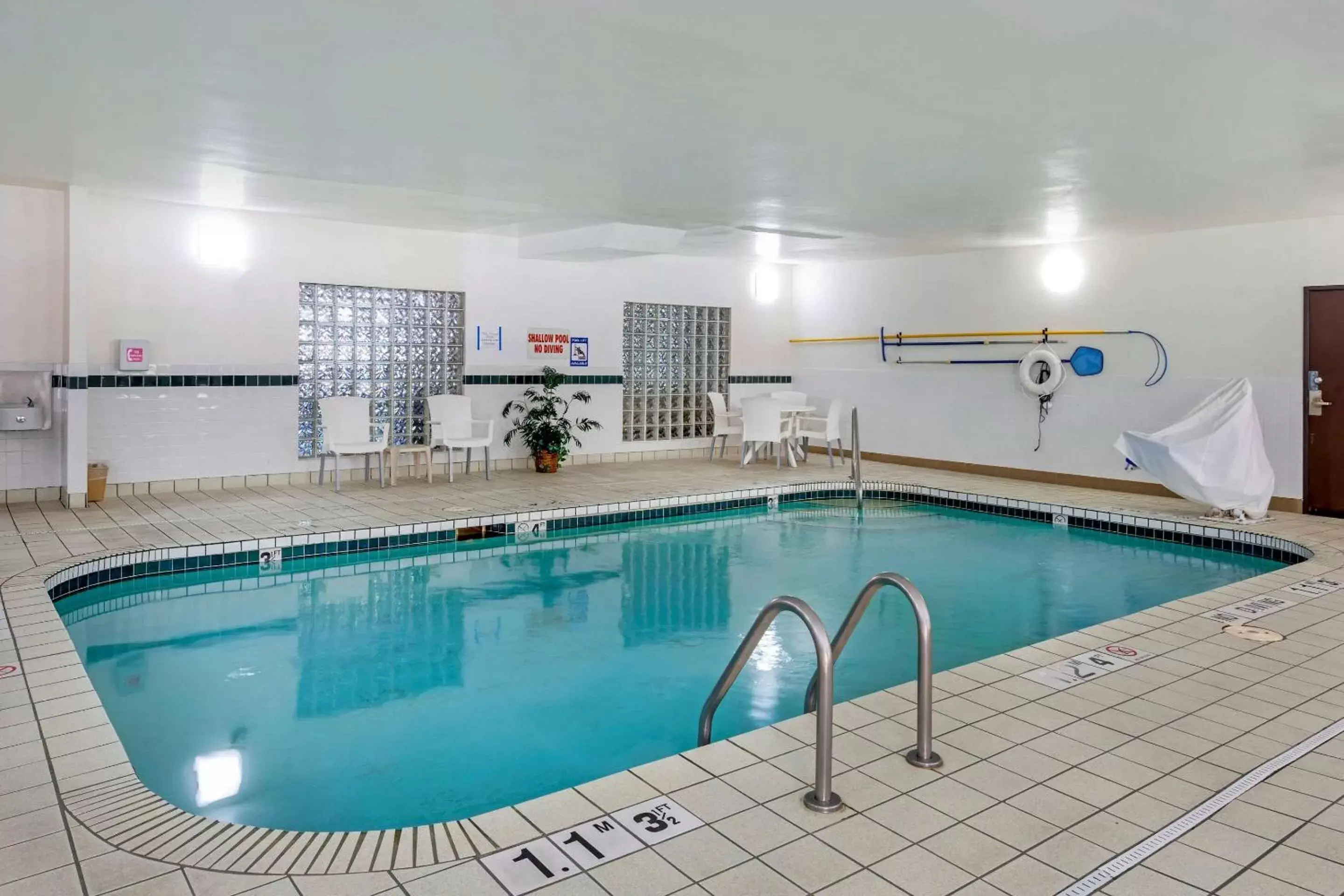 Activities, Swimming Pool in Comfort Suites North Dallas