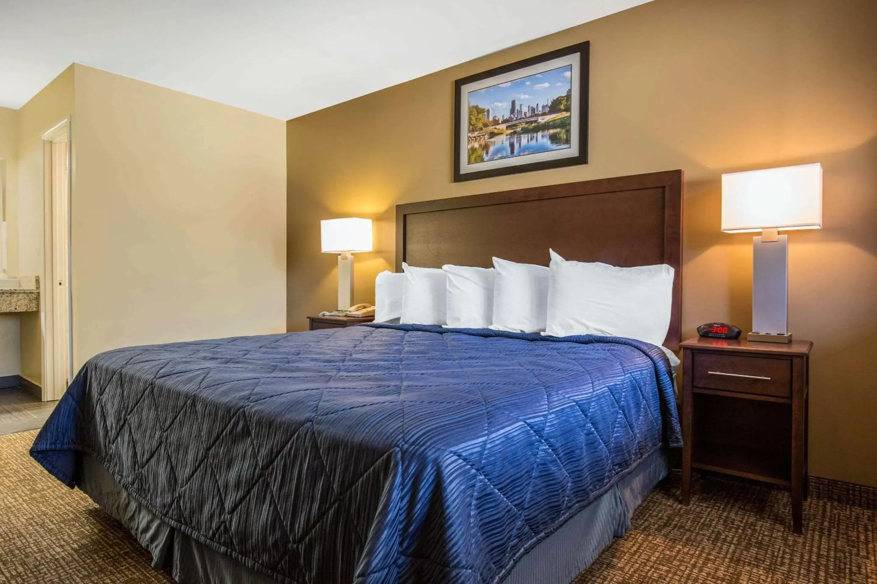 Photo of the whole room, Bed in Rodeway Inn Lyons - La Grange