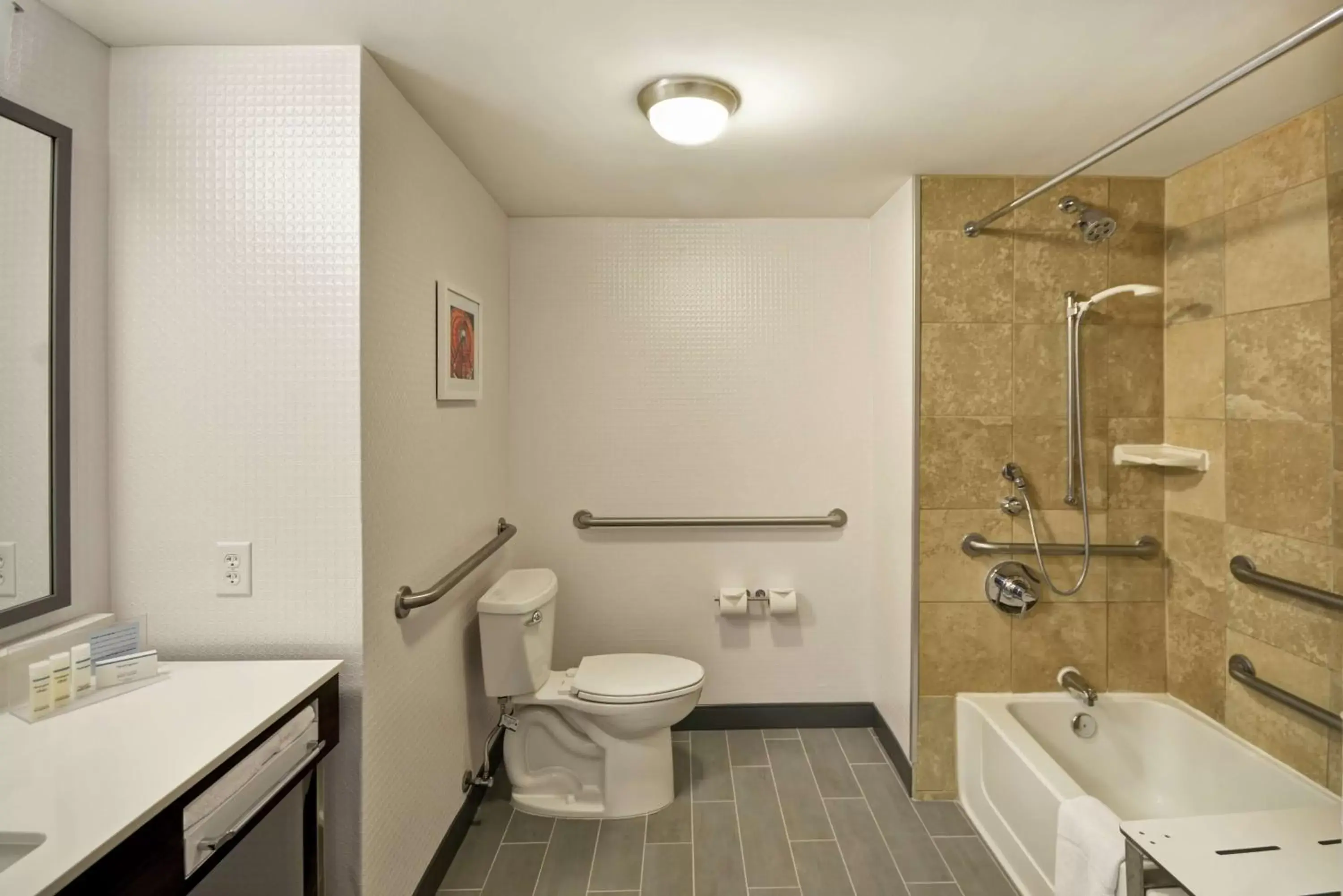 Bathroom in Hampton Inn & Suites Columbus-Easton Area