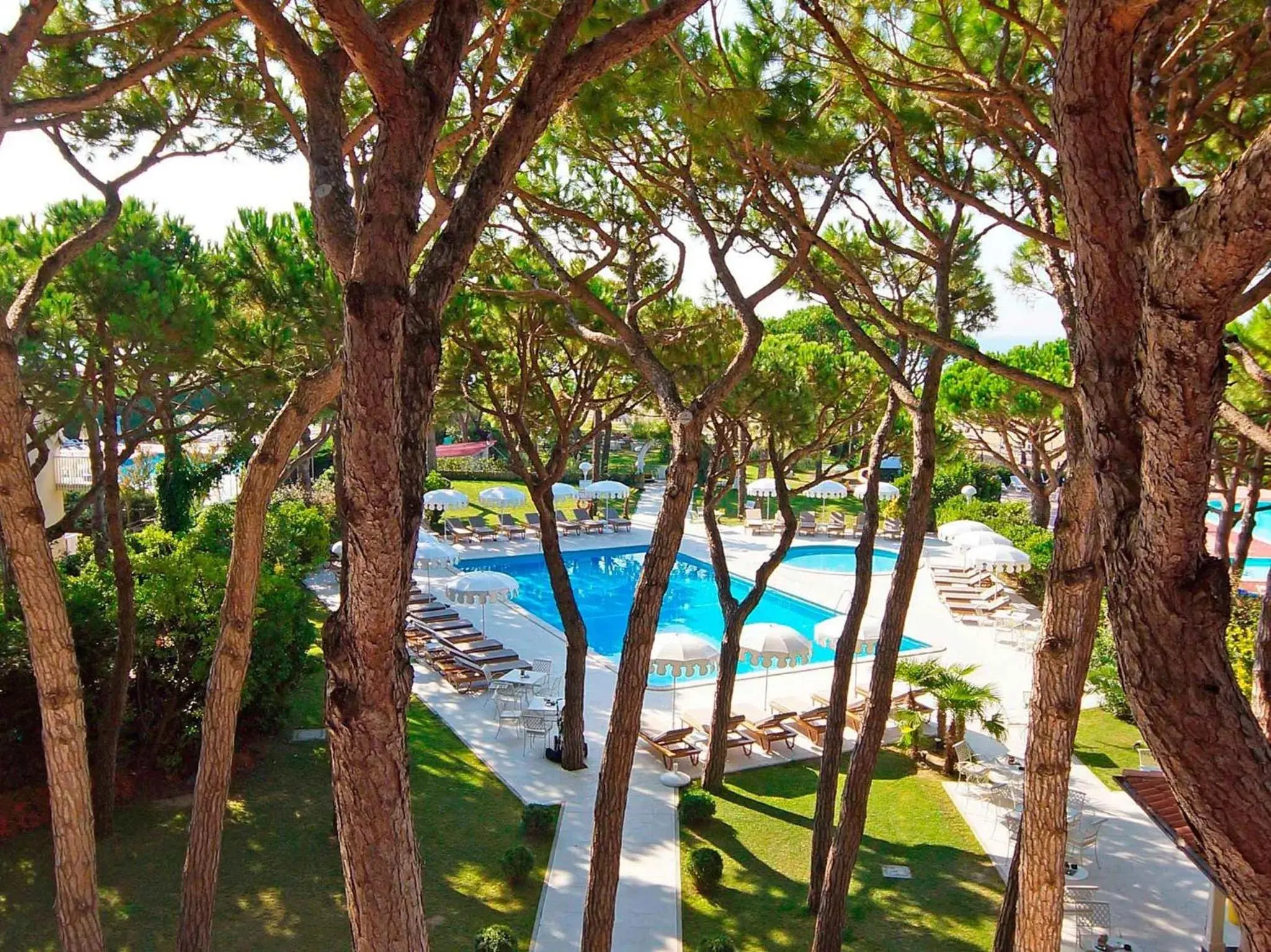 Solarium, Pool View in Hotel Maracaibo