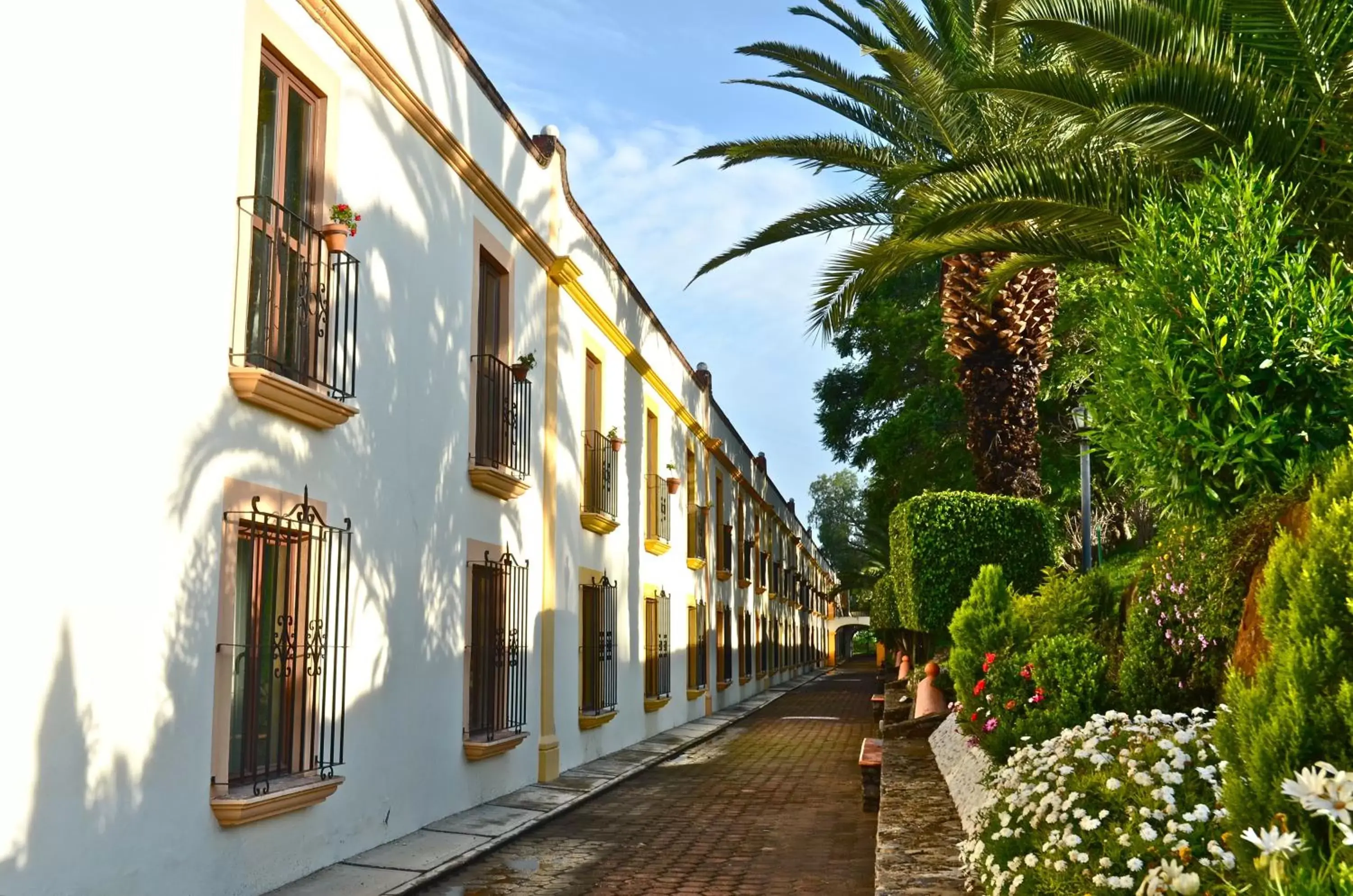 Decorative detail, Property Building in Mision Grand Juriquilla