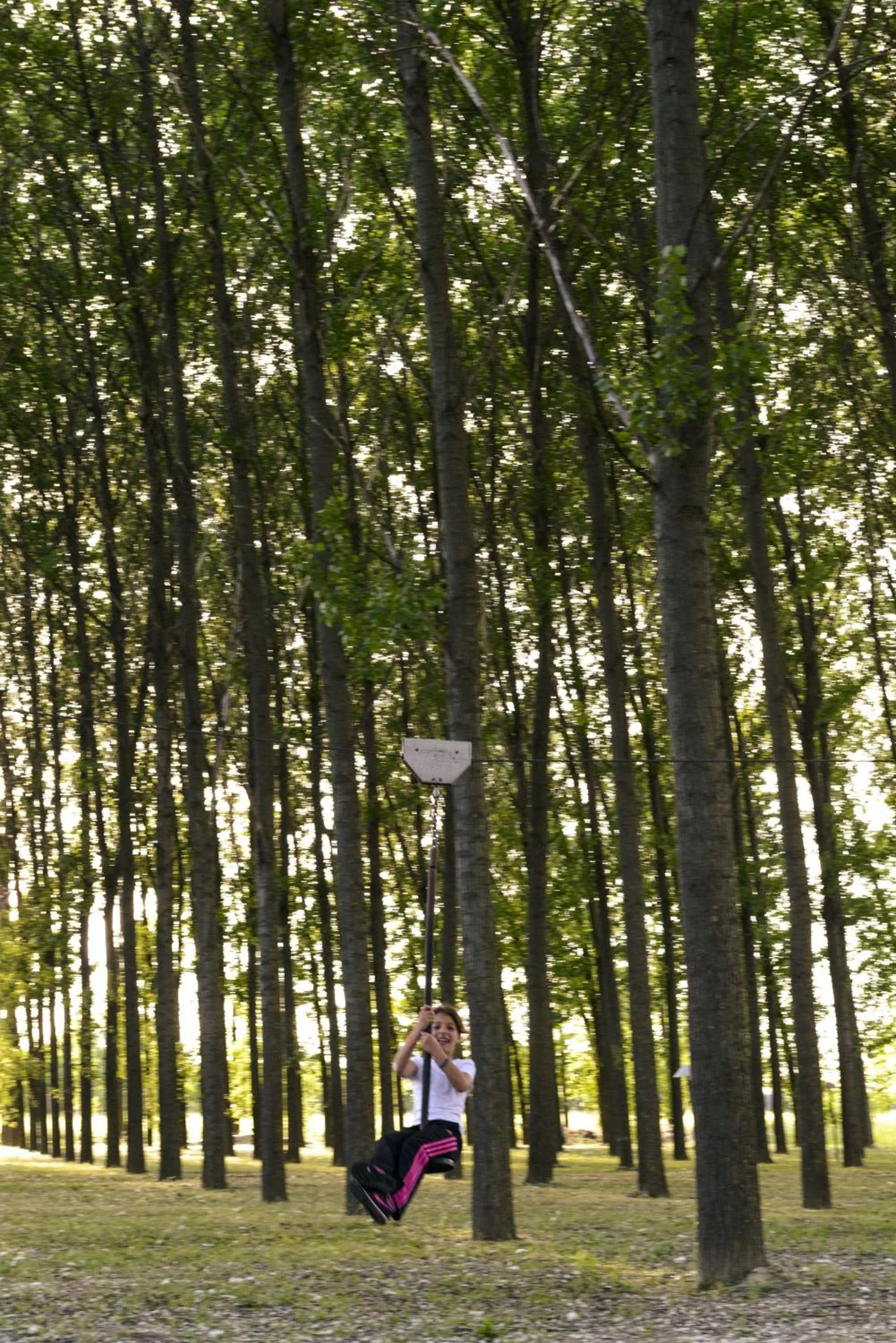 Garden in Relais Leon d'Oro