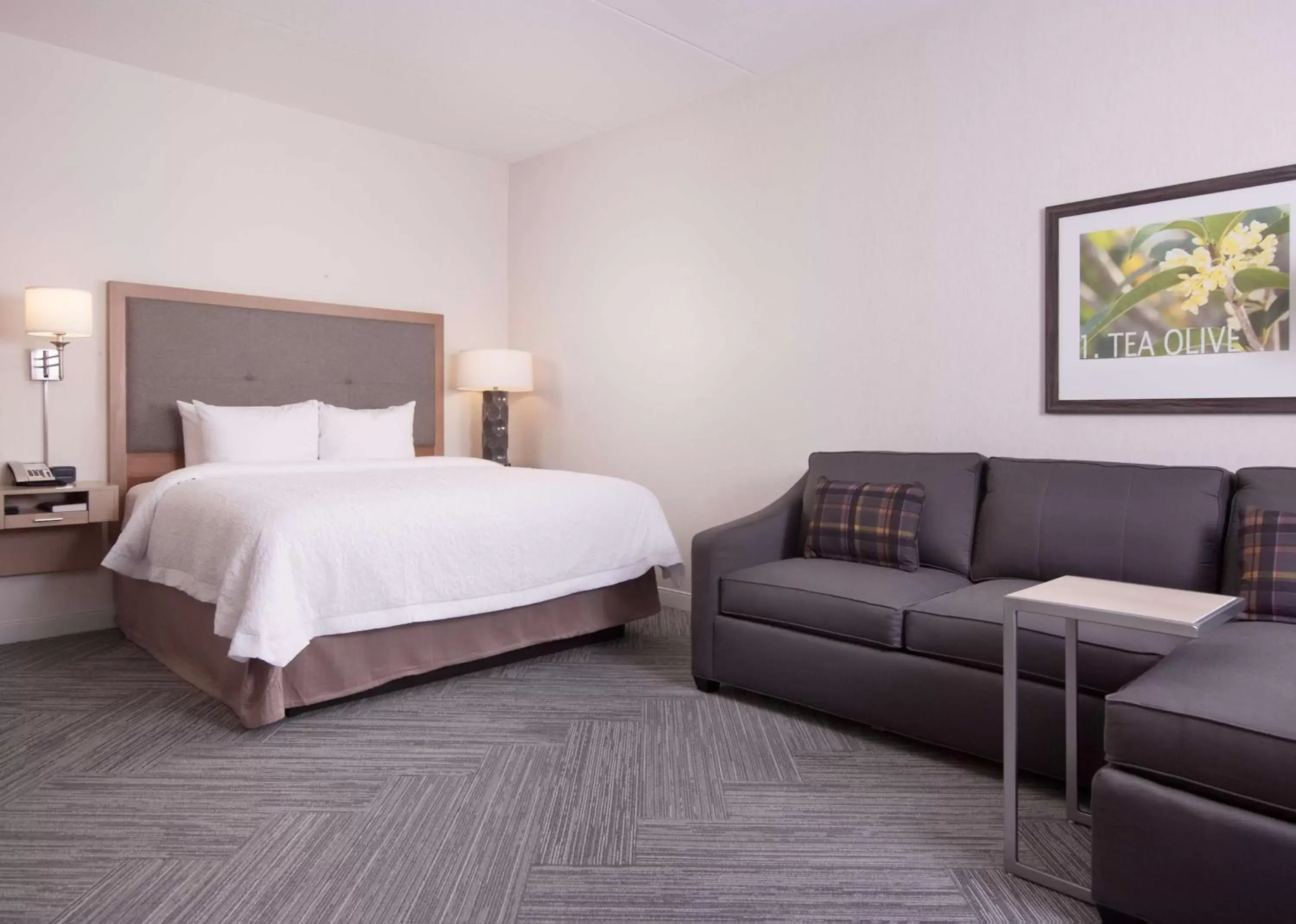 Bed in Hampton Inn & Suites by Hilton Augusta-Washington Rd