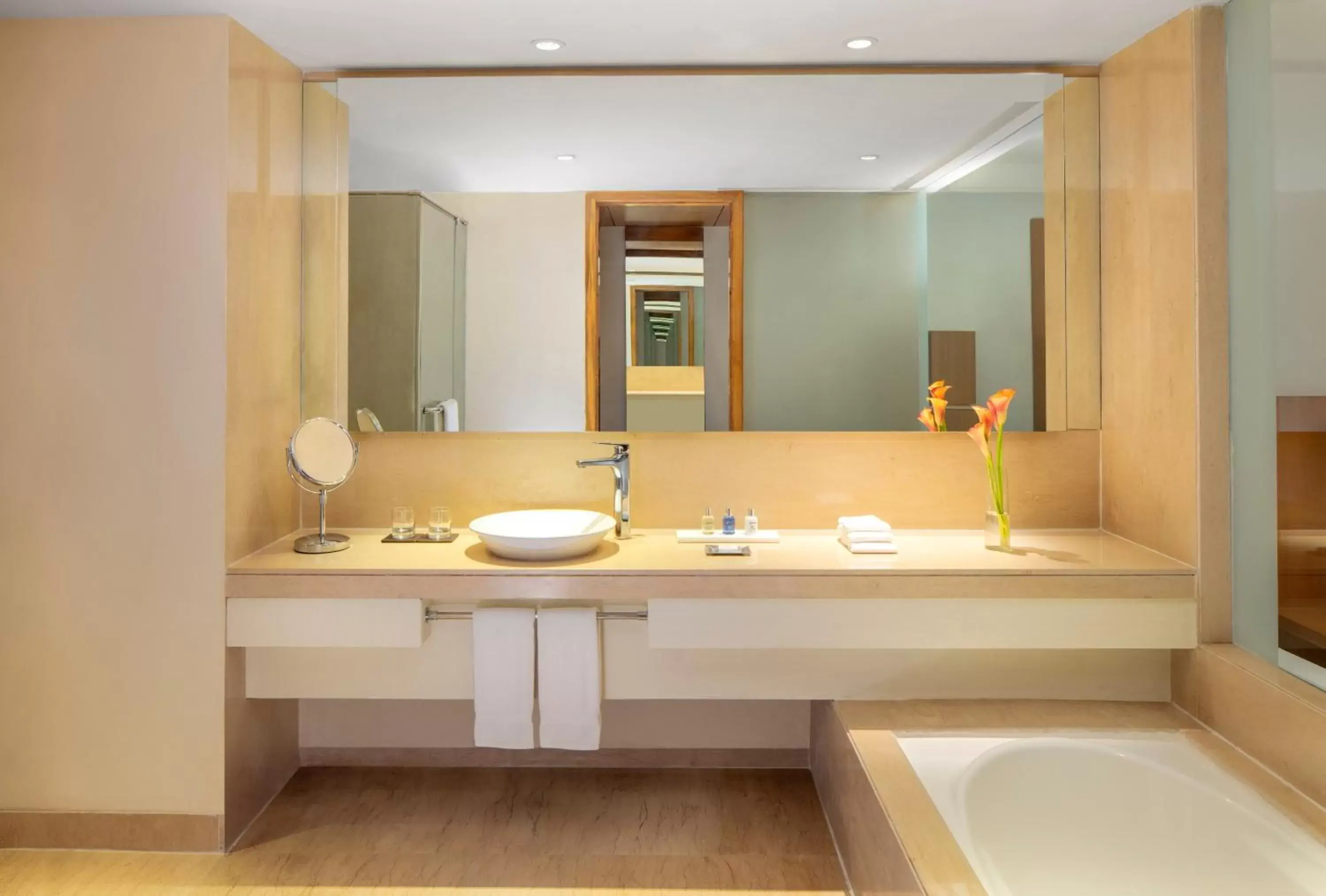 Bathroom in Radisson Blu Plaza Hotel Hyderabad Banjara Hills