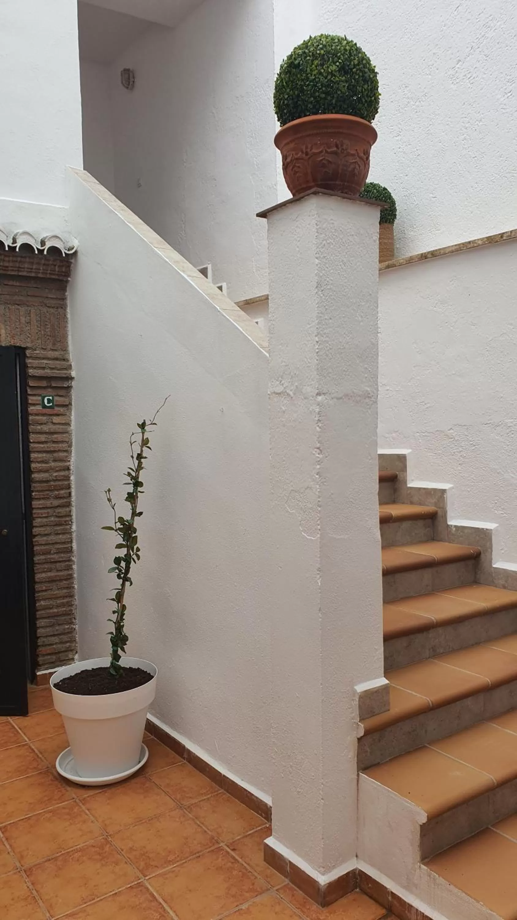 Inner courtyard view in CASA MORENA MiA APARTAMENTOS