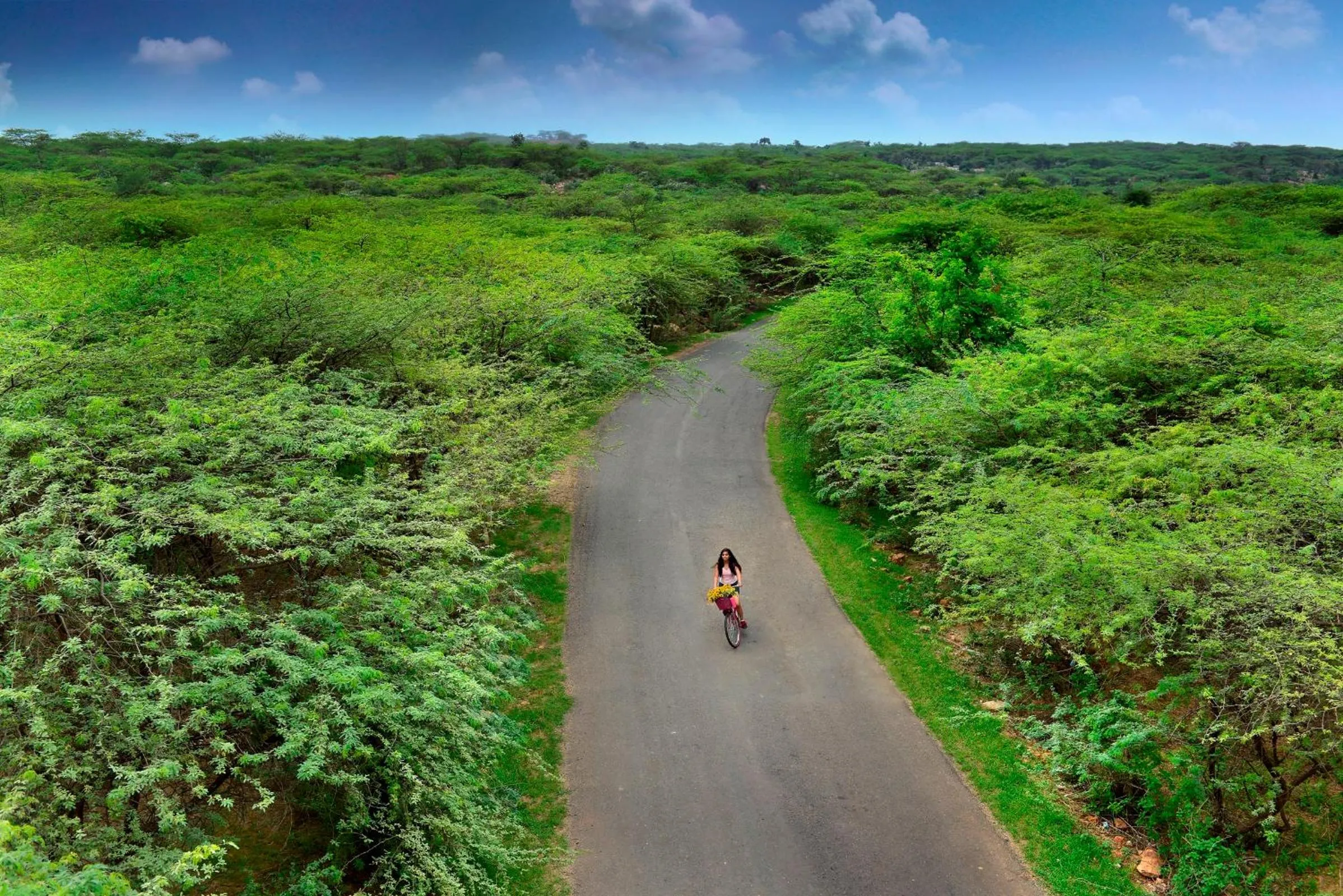 Activities in The Lalit Mangar