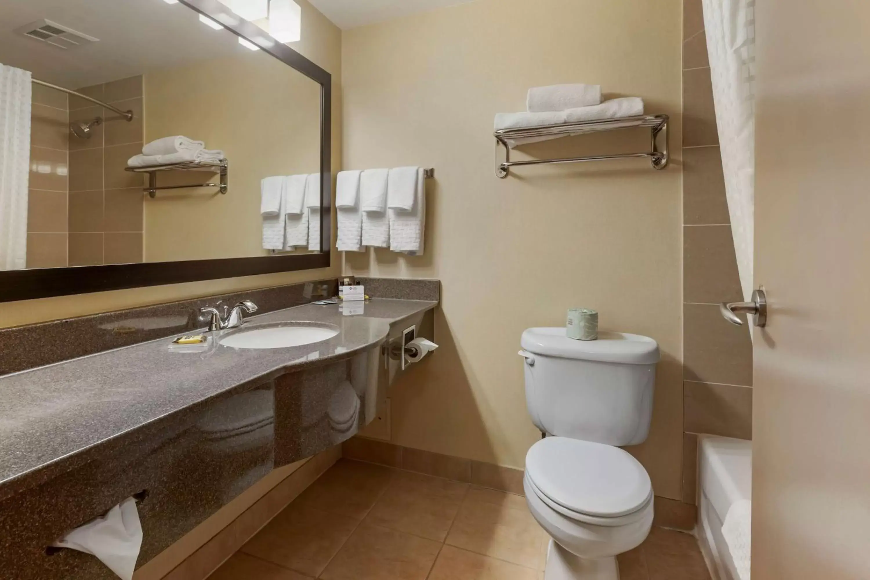 Bathroom in Best Western Plus Burlington Inn & Suites