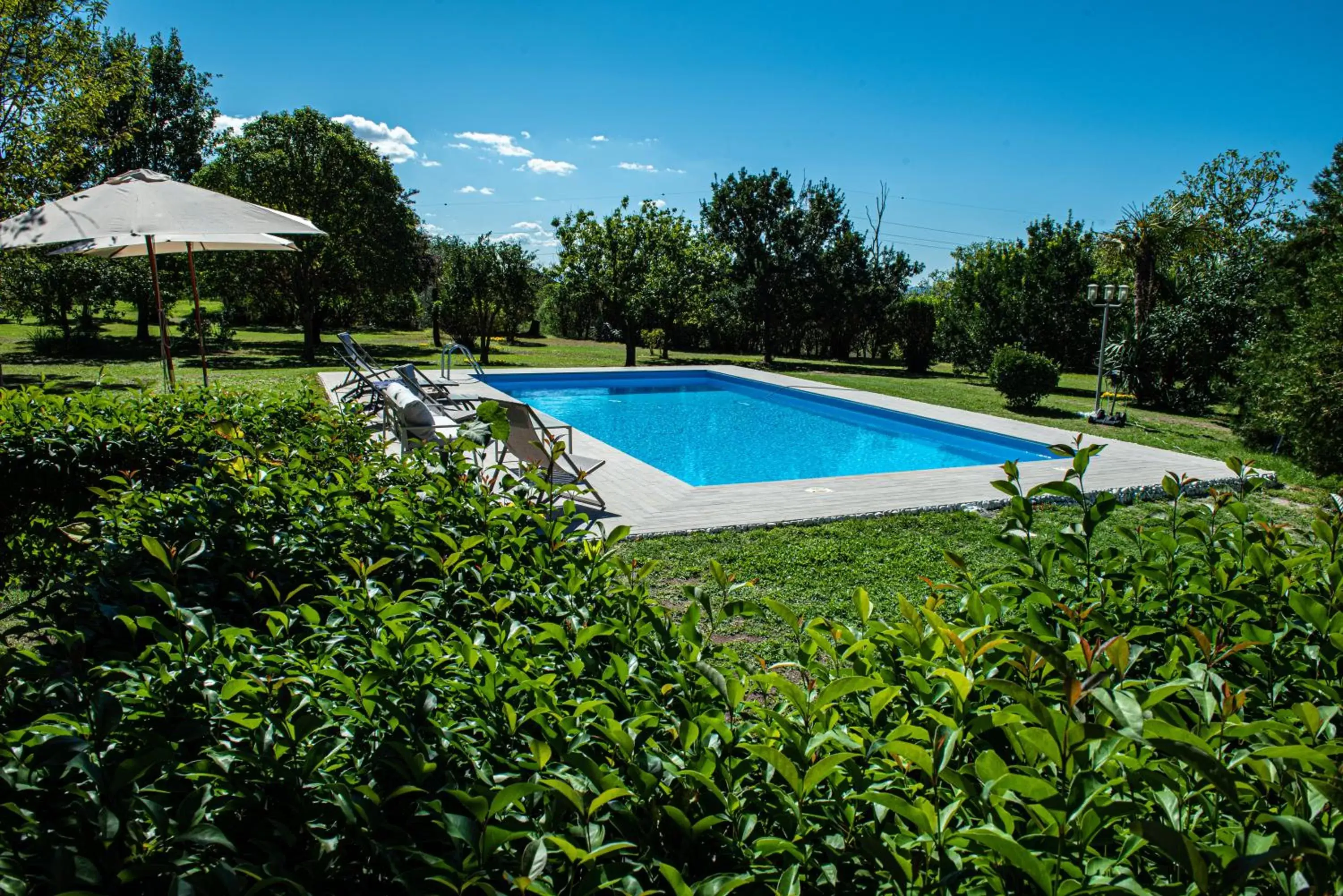 Swimming Pool in Terre Etrusche Guest House