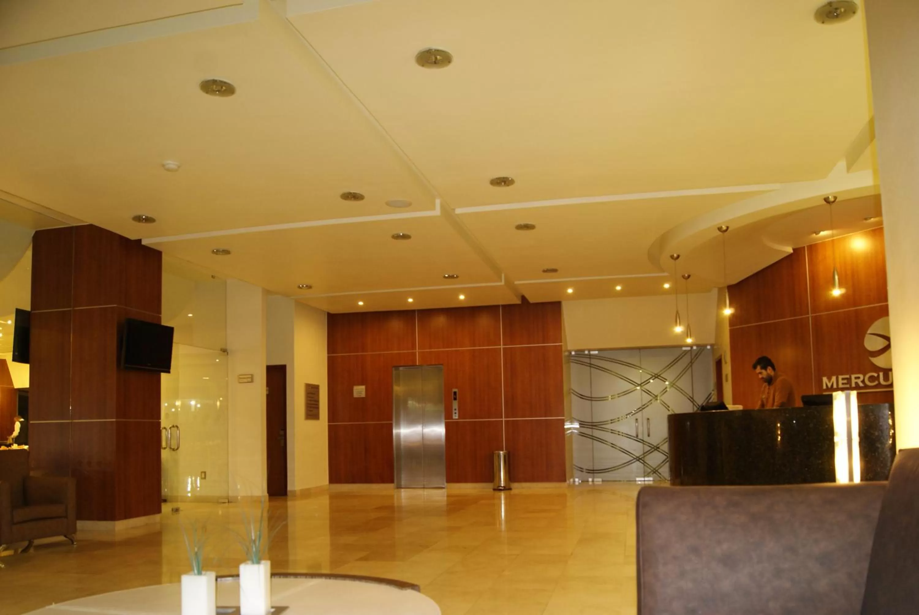 Lobby or reception in Hotel Mercury Inn
