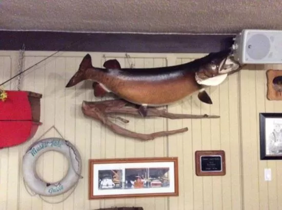 Restaurant/places to eat in The Gananoque Inn