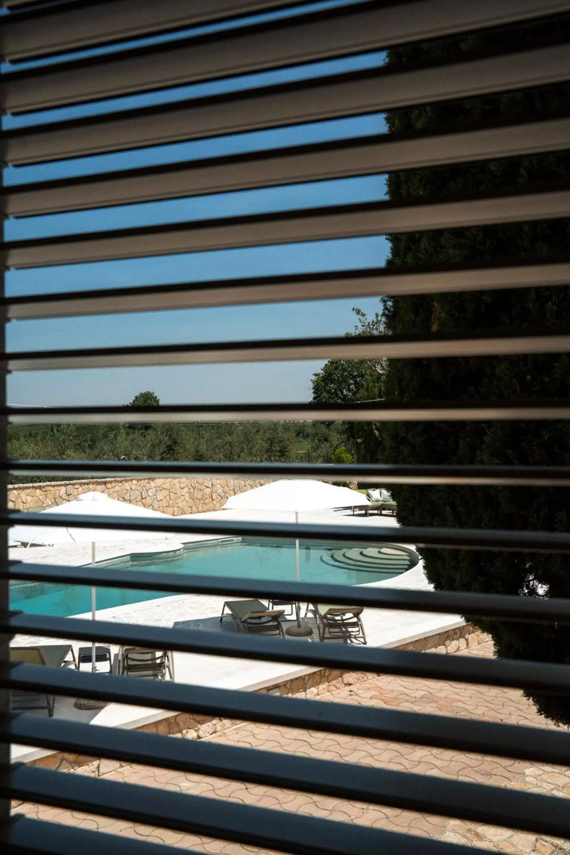 Pool view in Otto Apulia House