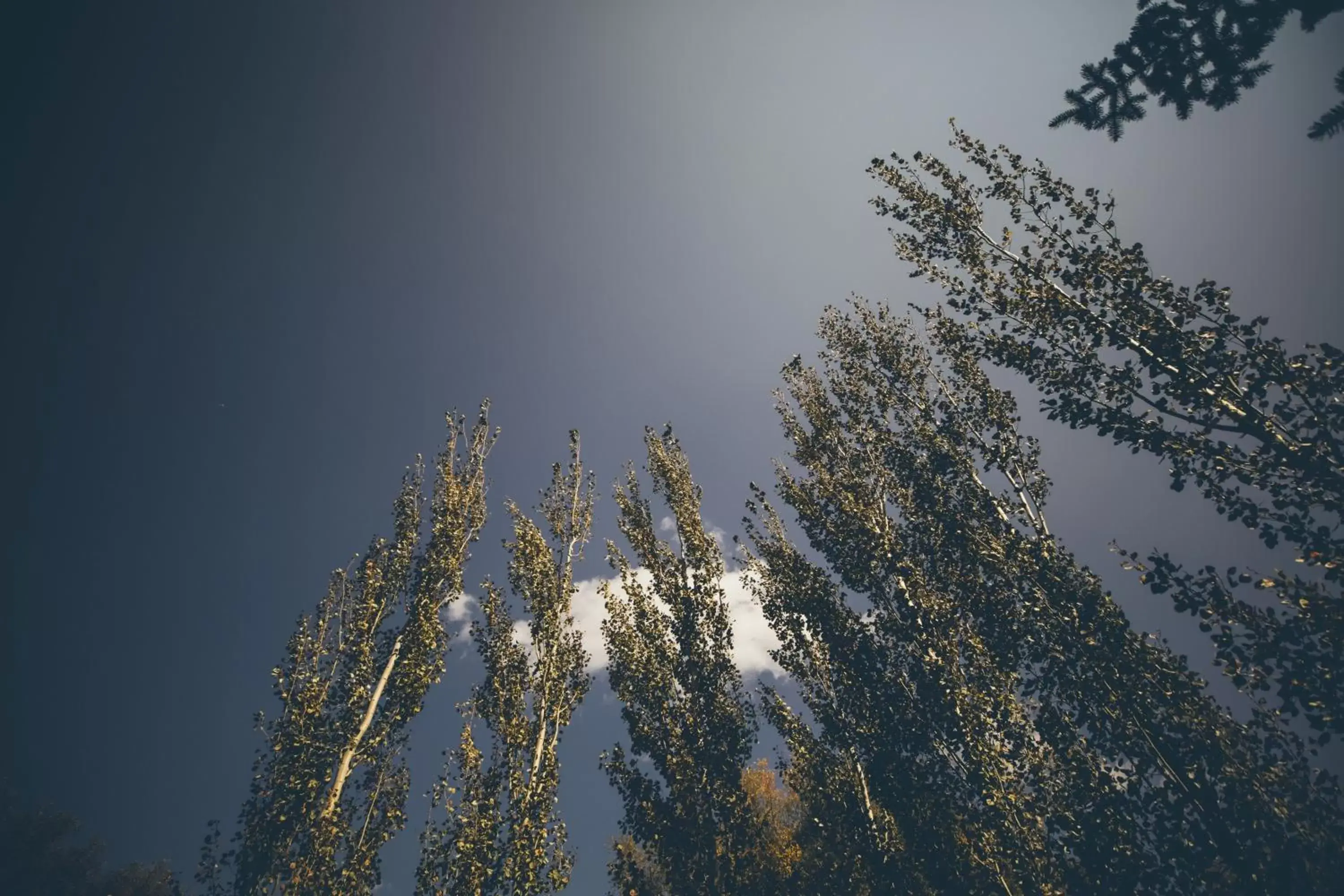 Mountain view in Little Beaver Inn Mountain view in Little Beaver Inn