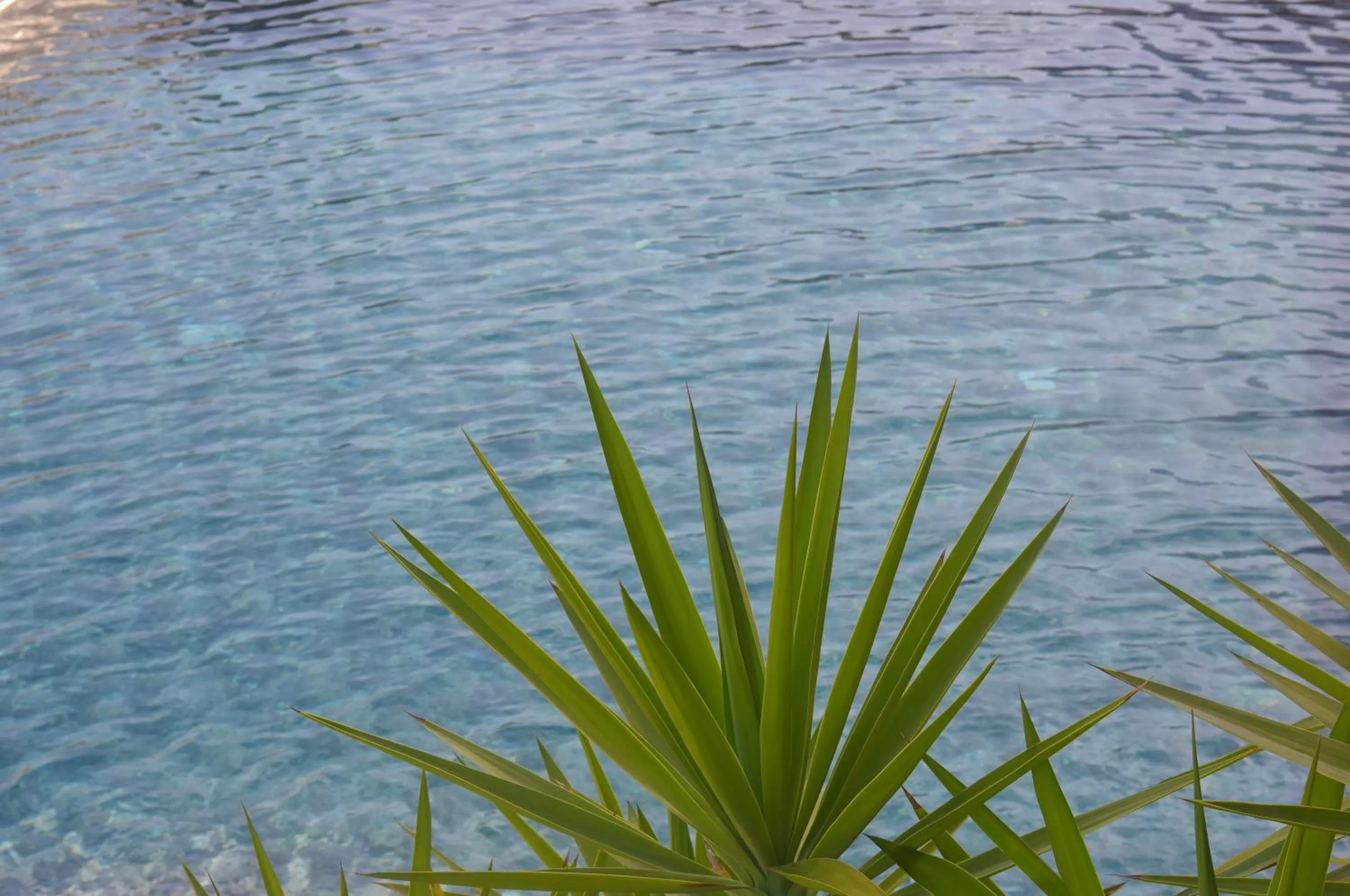 Swimming pool in Hotel Virgilio